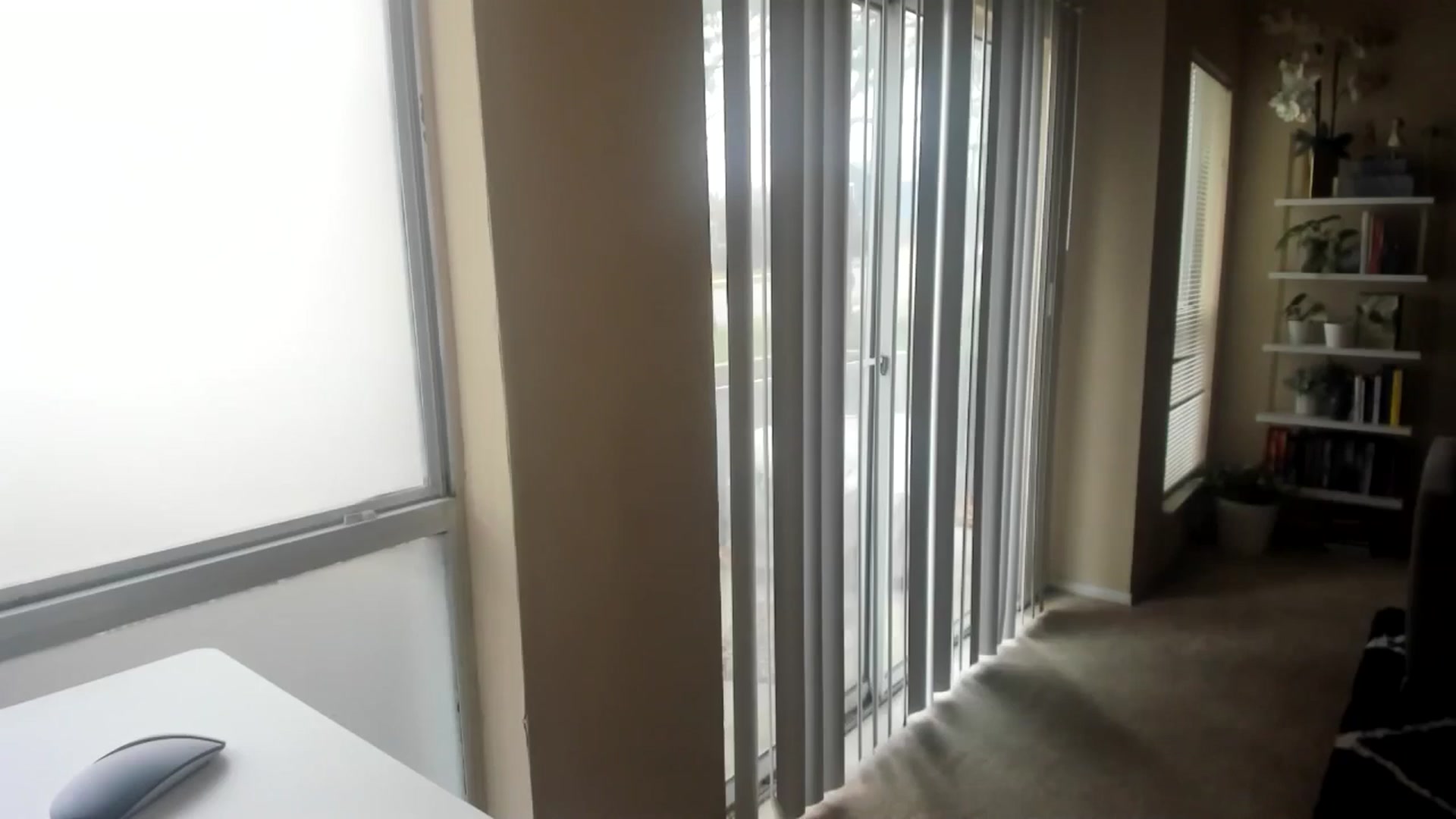 Gallery image thumbnail from sweetgirly's myfreecams stream on, 12/13/2024, 19:56 image 15 of 20