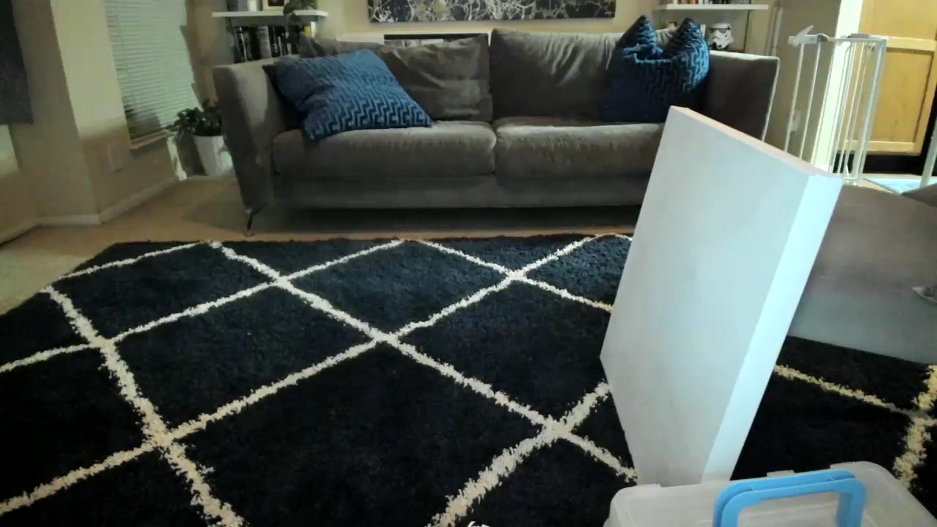 Gallery image thumbnail from sweetgirly's myfreecams stream on, 01/22/2025, 05:52 image 8 of 20