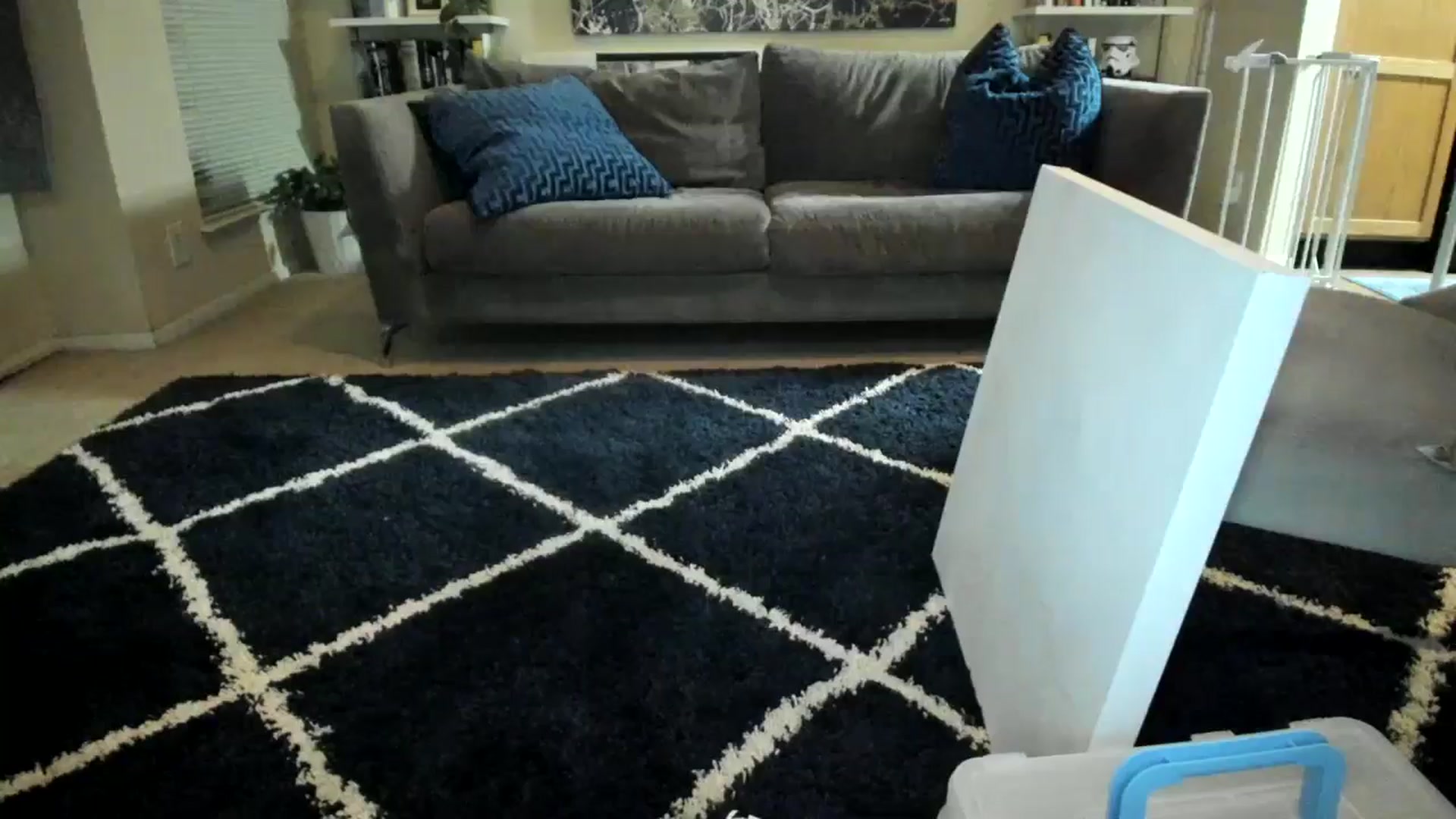 Gallery image thumbnail from sweetgirly's myfreecams stream on, 01/22/2025, 05:52 image 9 of 20