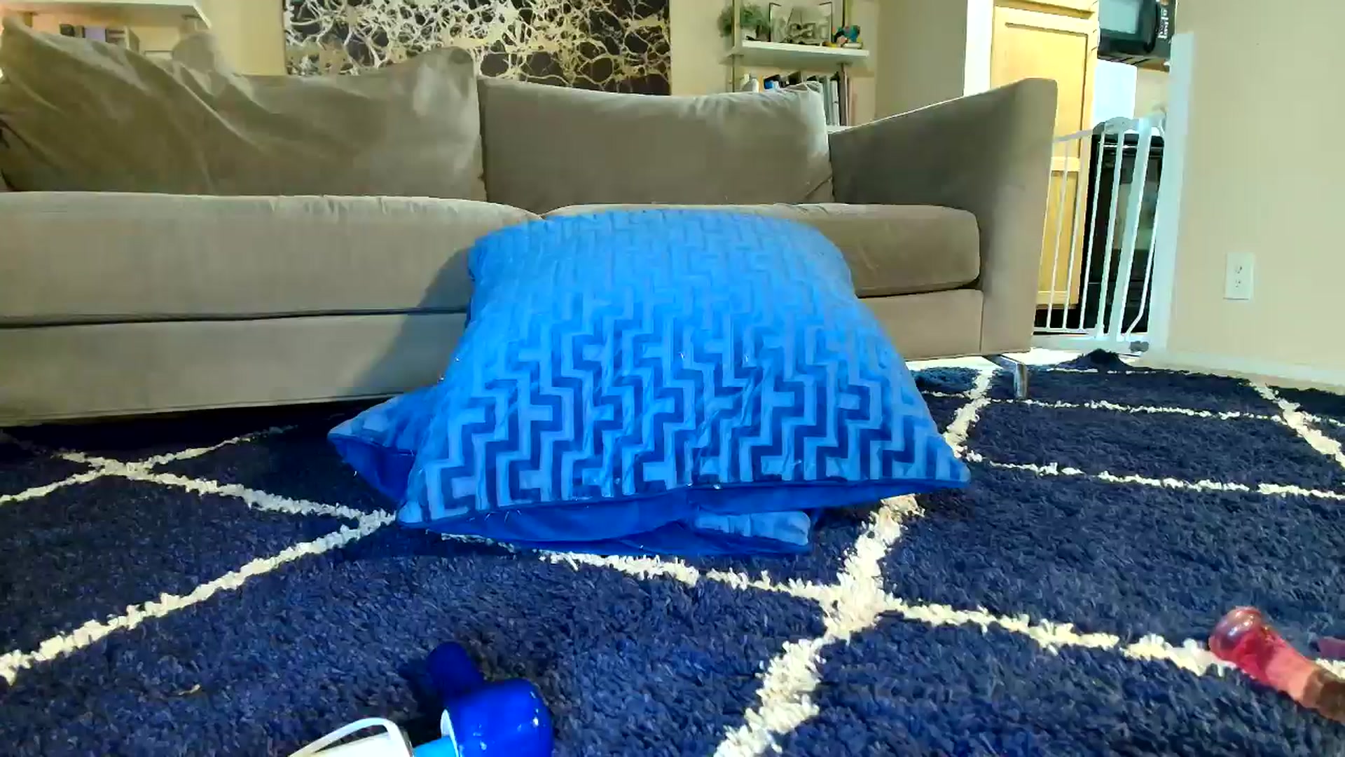 Gallery image thumbnail from sweetgirly's myfreecams stream on, 07/29/2025, 04:03 image 1 of 20