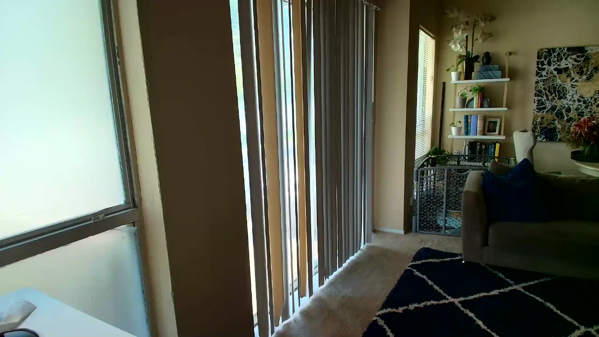 Gallery image thumbnail from sweetgirly's myfreecams stream on, 08/13/2025, 17:20 image 19 of 20