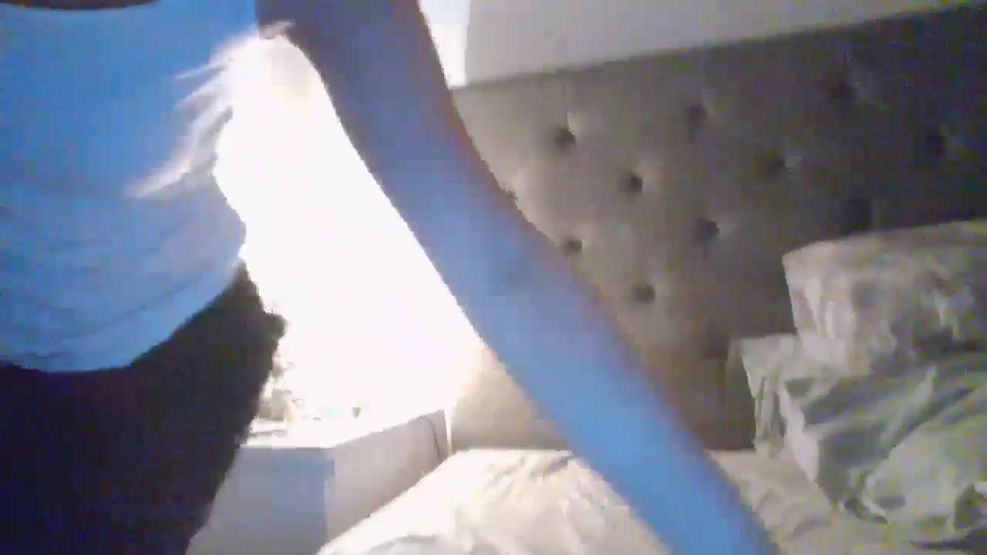 Gallery image thumbnail from sweetnomi22's myfreecams stream on, 07/06/2024, 21:06 image 12 of 20