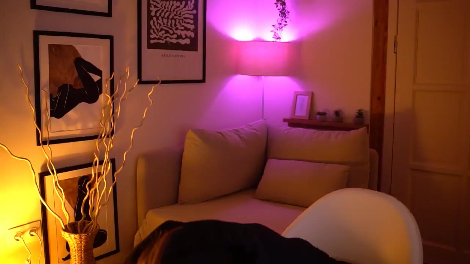 Gallery image thumbnail from sweetpulse_'s myfreecams stream on, 11/06/2024, 09:07 image 4 of 20