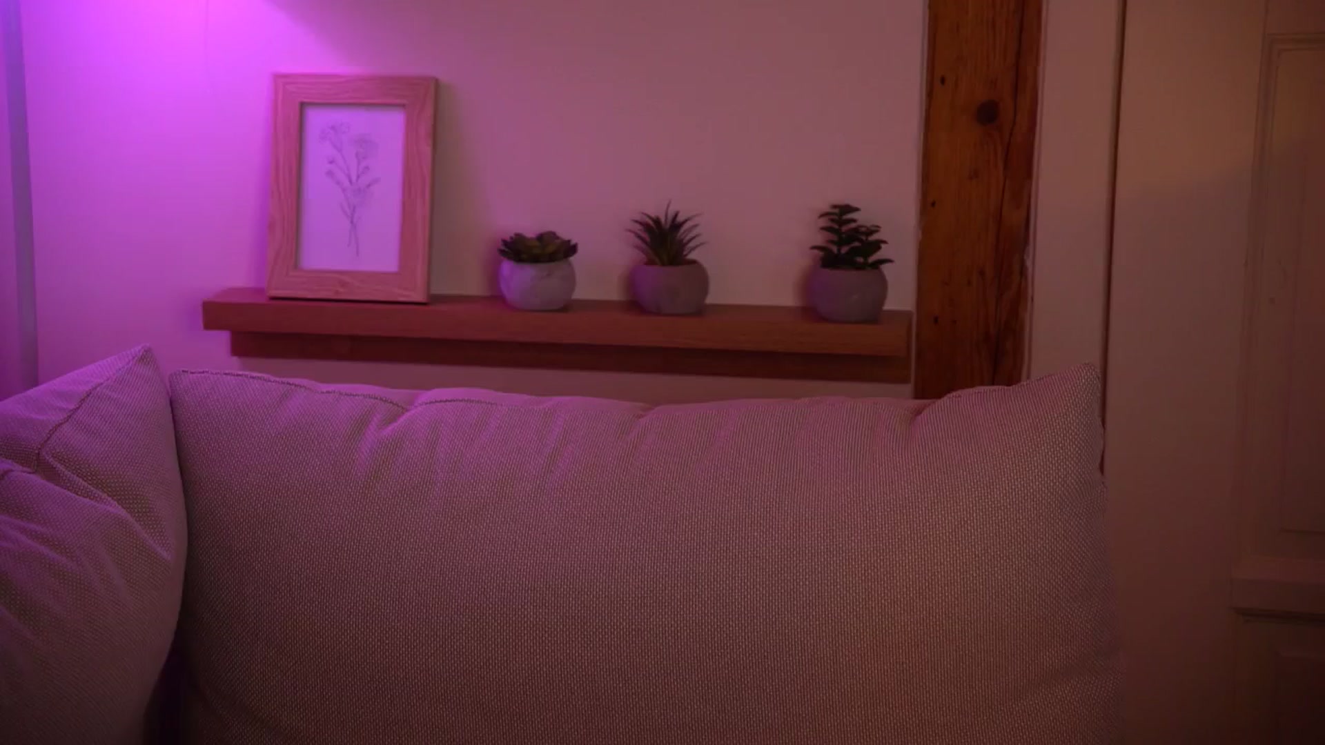 Gallery image thumbnail from sweetpulse_'s myfreecams stream on, 11/06/2024, 11:40 image 2 of 20