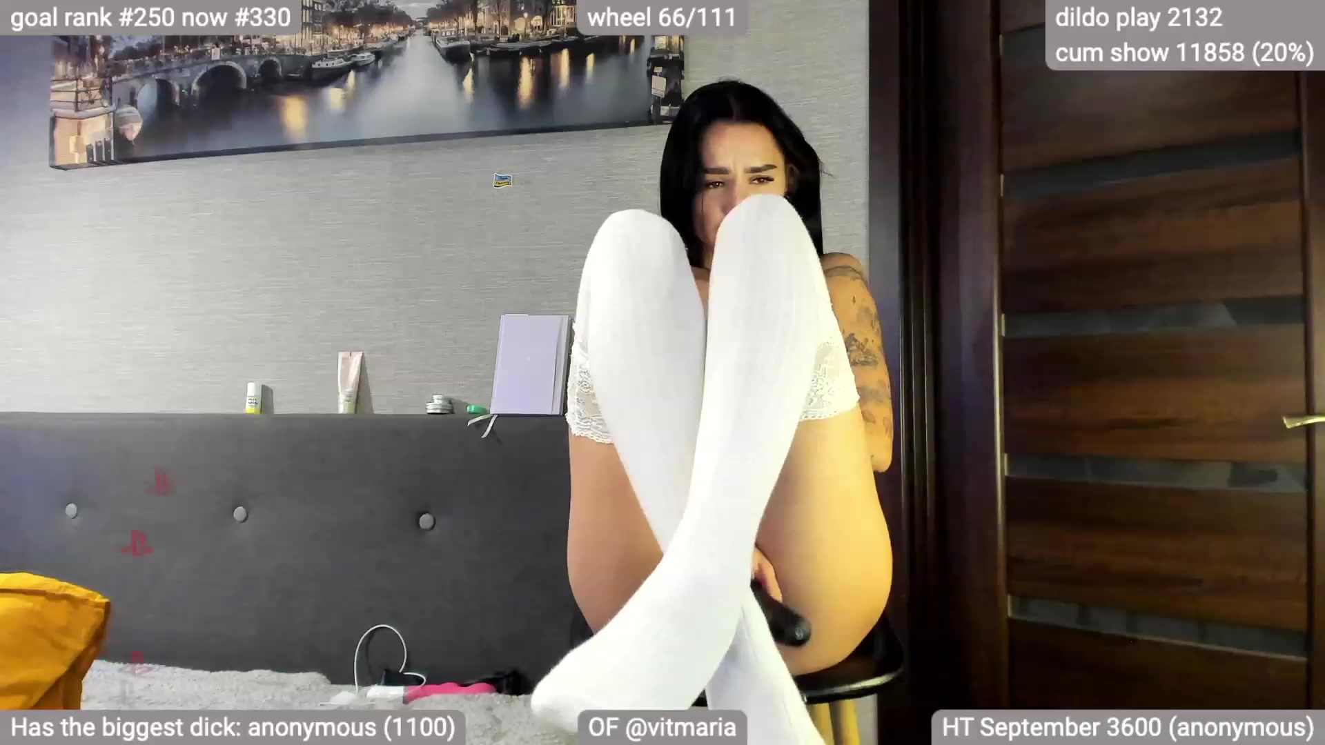 Gallery image thumbnail from swtAlterEgo's myfreecams stream on, 09/23/2023, 03:02 image 10 of 20