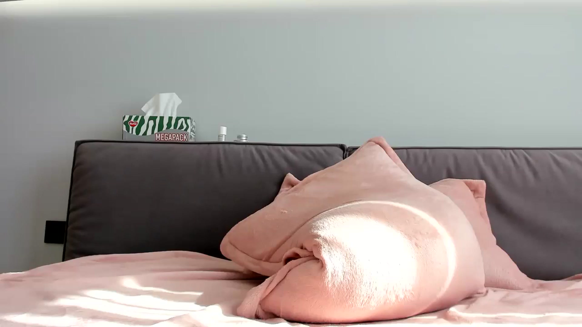 Gallery image thumbnail from swtAlterEgo's myfreecams stream on, 05/25/2024, 05:56 image 19 of 20