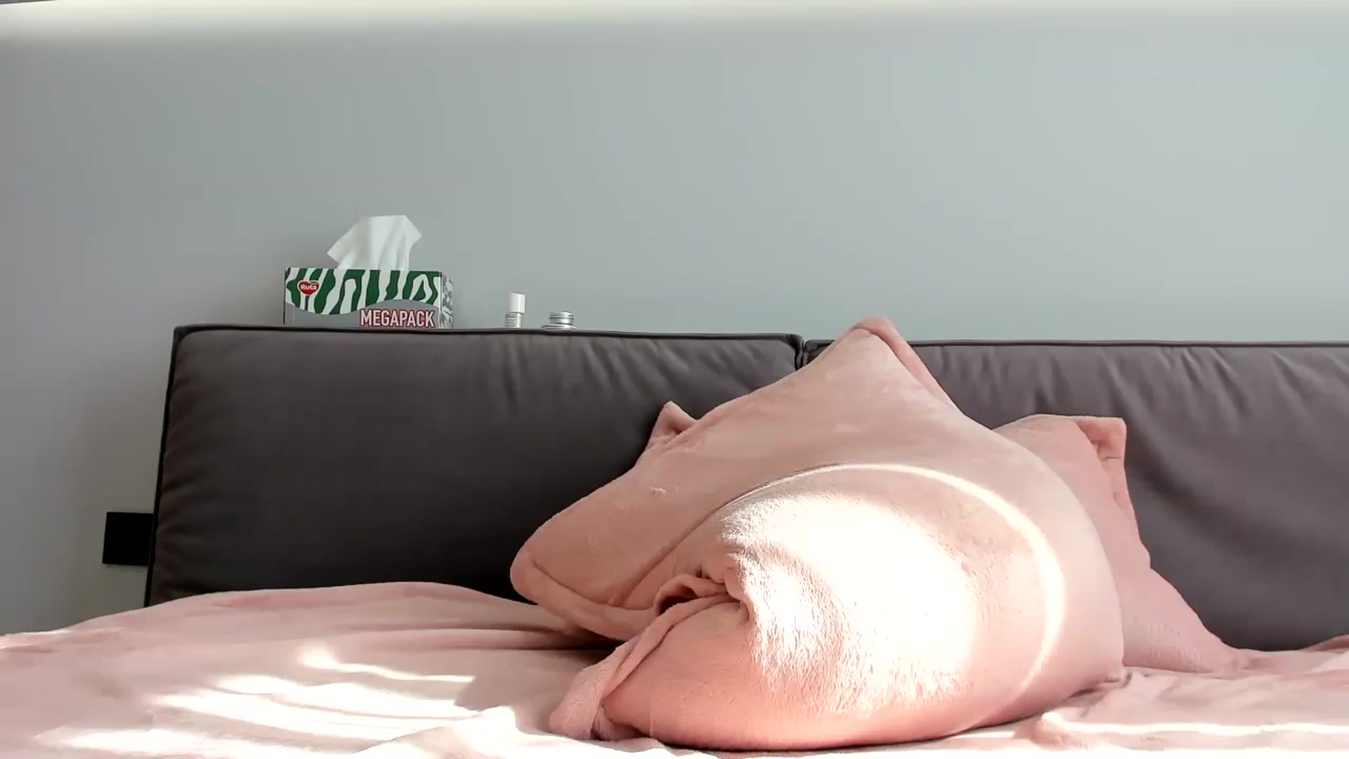 Gallery image thumbnail from swtAlterEgo's myfreecams stream on, 05/25/2024, 05:56 image 20 of 20