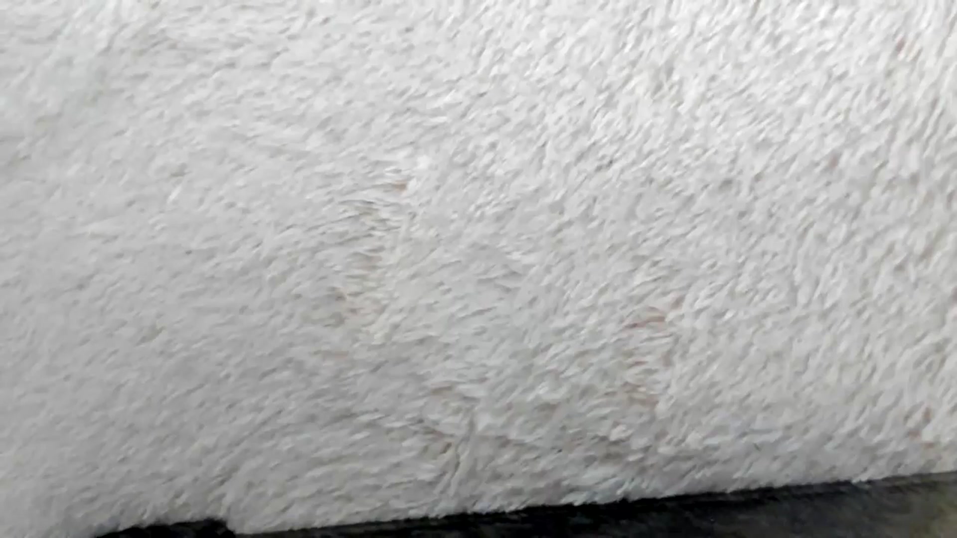 Gallery image thumbnail from swtAlterEgo's myfreecams stream on, 06/14/2024, 03:52 image 7 of 20