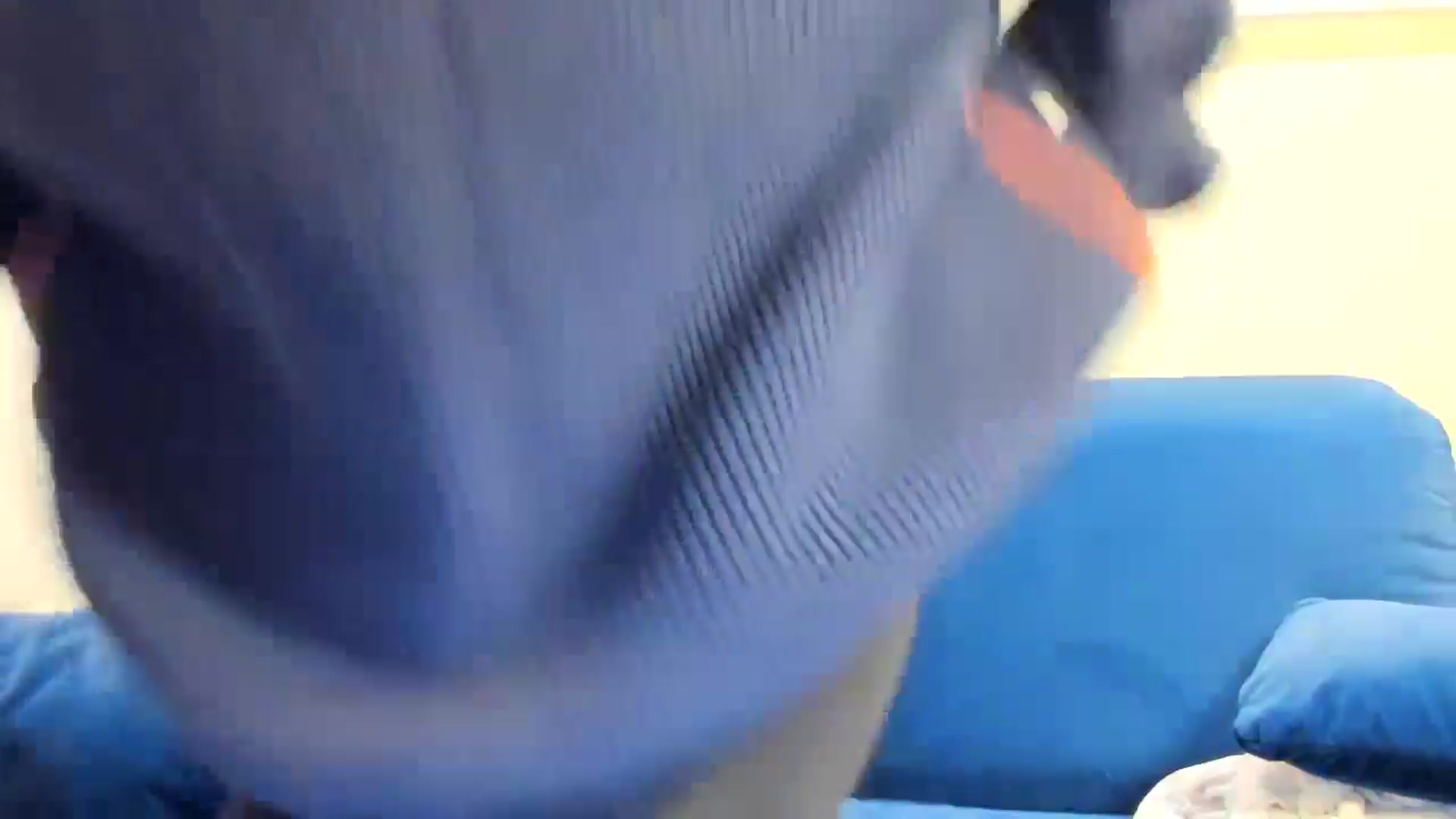Gallery image thumbnail from swtAlterEgo's myfreecams stream on, 01/01/2025, 21:51 image 7 of 20