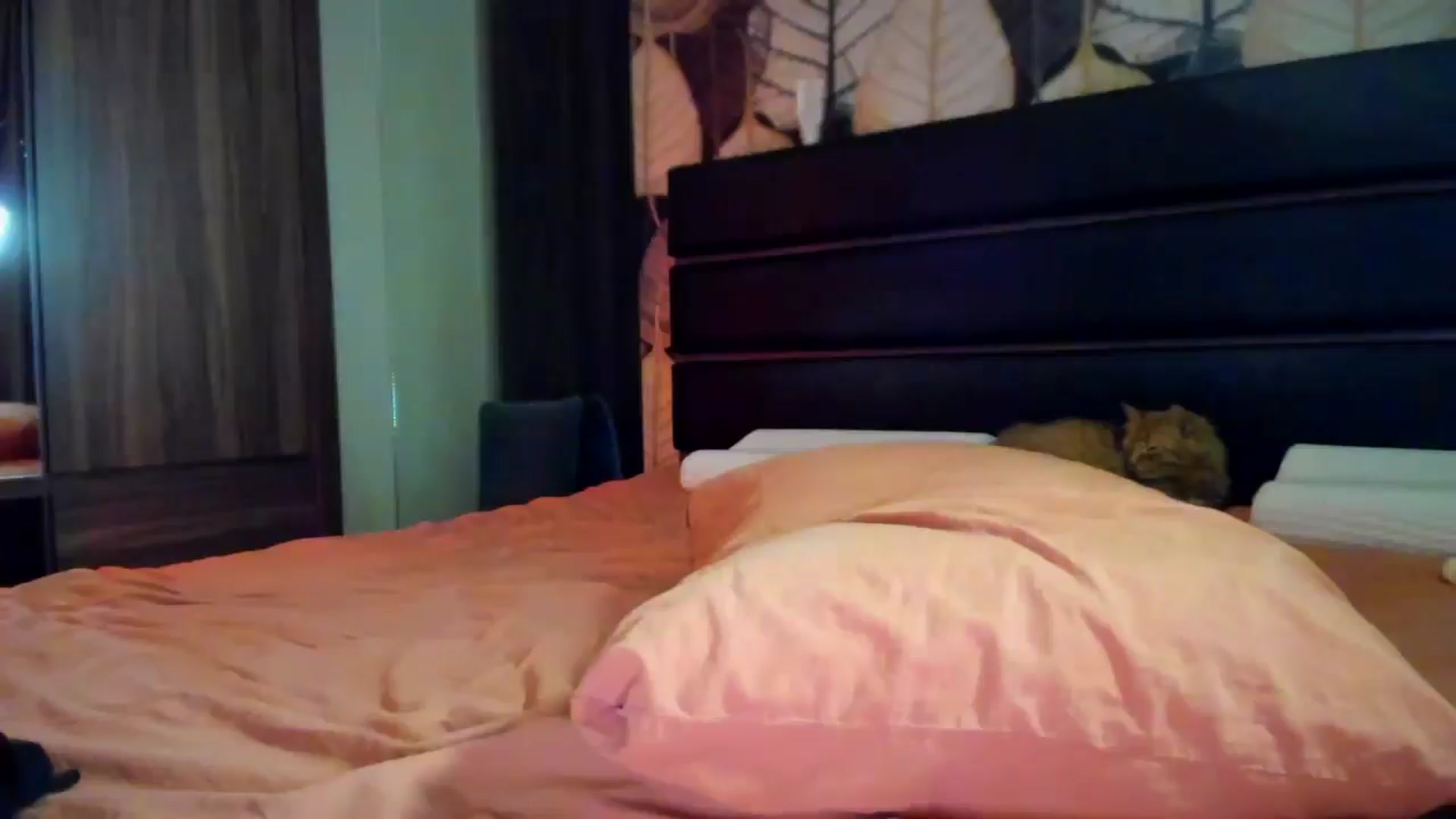 Gallery image thumbnail from swtAlterEgo's myfreecams stream on, 04/28/2025, 23:20 image 1 of 20