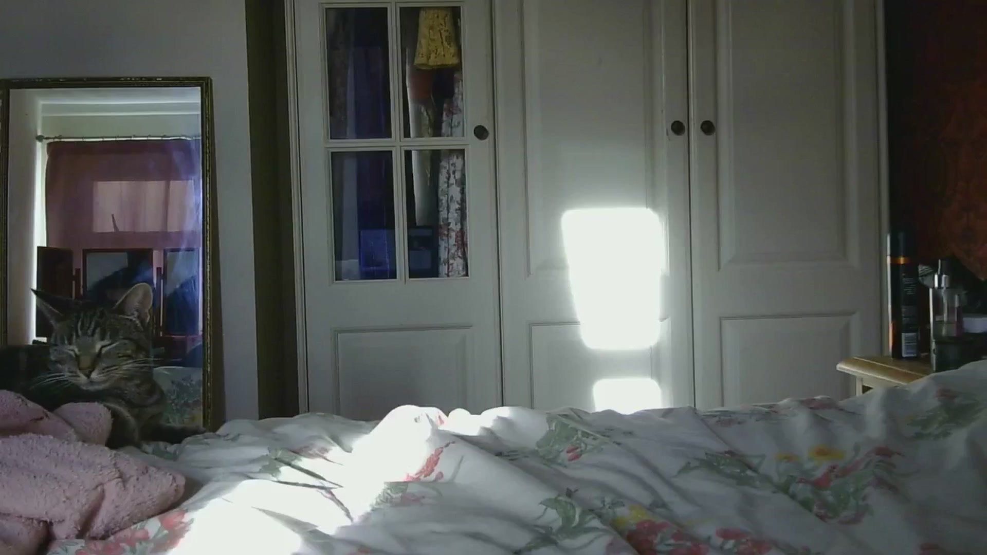 Gallery image thumbnail from sylksiren's myfreecams stream on, 11/21/2024, 14:36 image 9 of 20