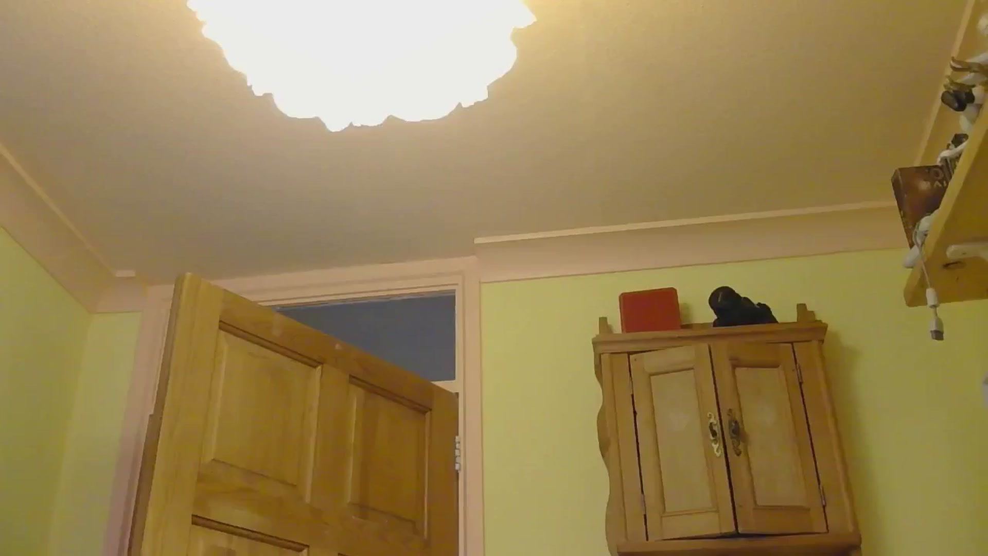 Gallery image thumbnail from sylksiren's myfreecams stream on, 12/18/2024, 16:47 image 1 of 20