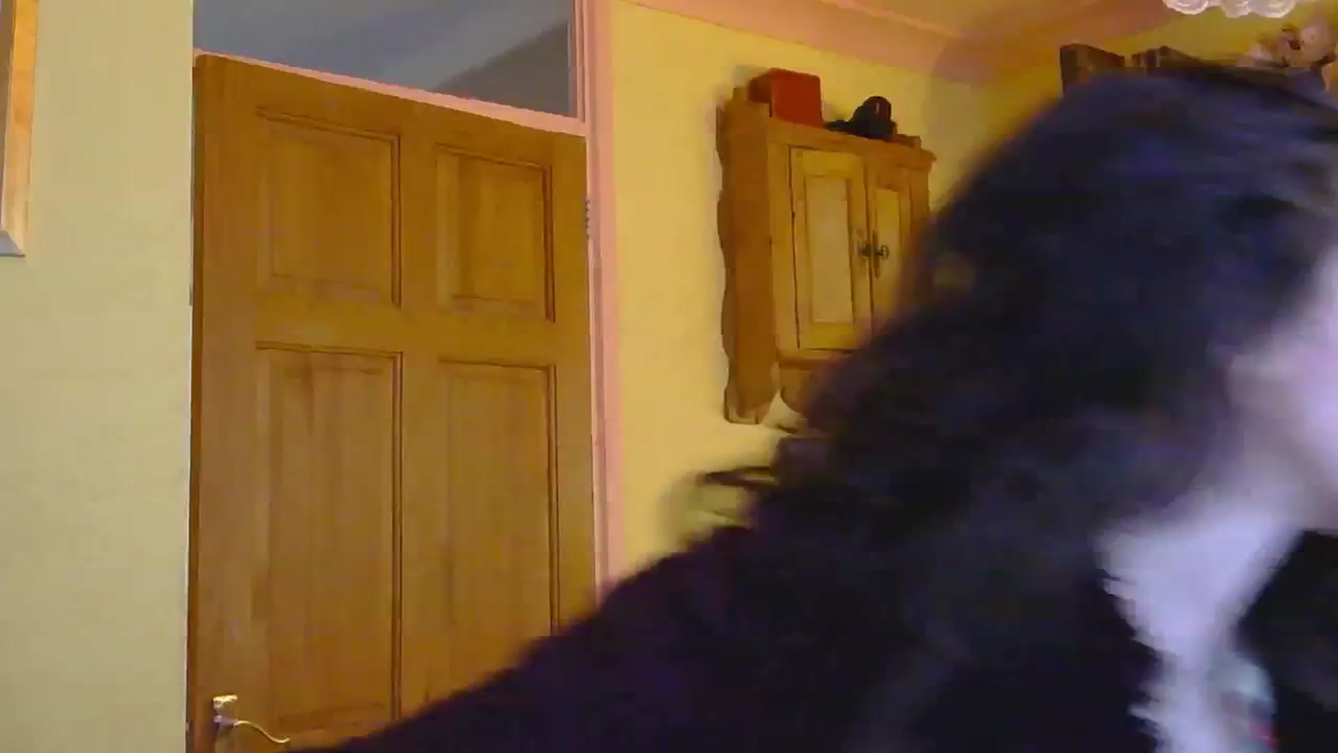 Gallery image thumbnail from sylksiren's myfreecams stream on, 02/11/2025, 15:20 image 5 of 20
