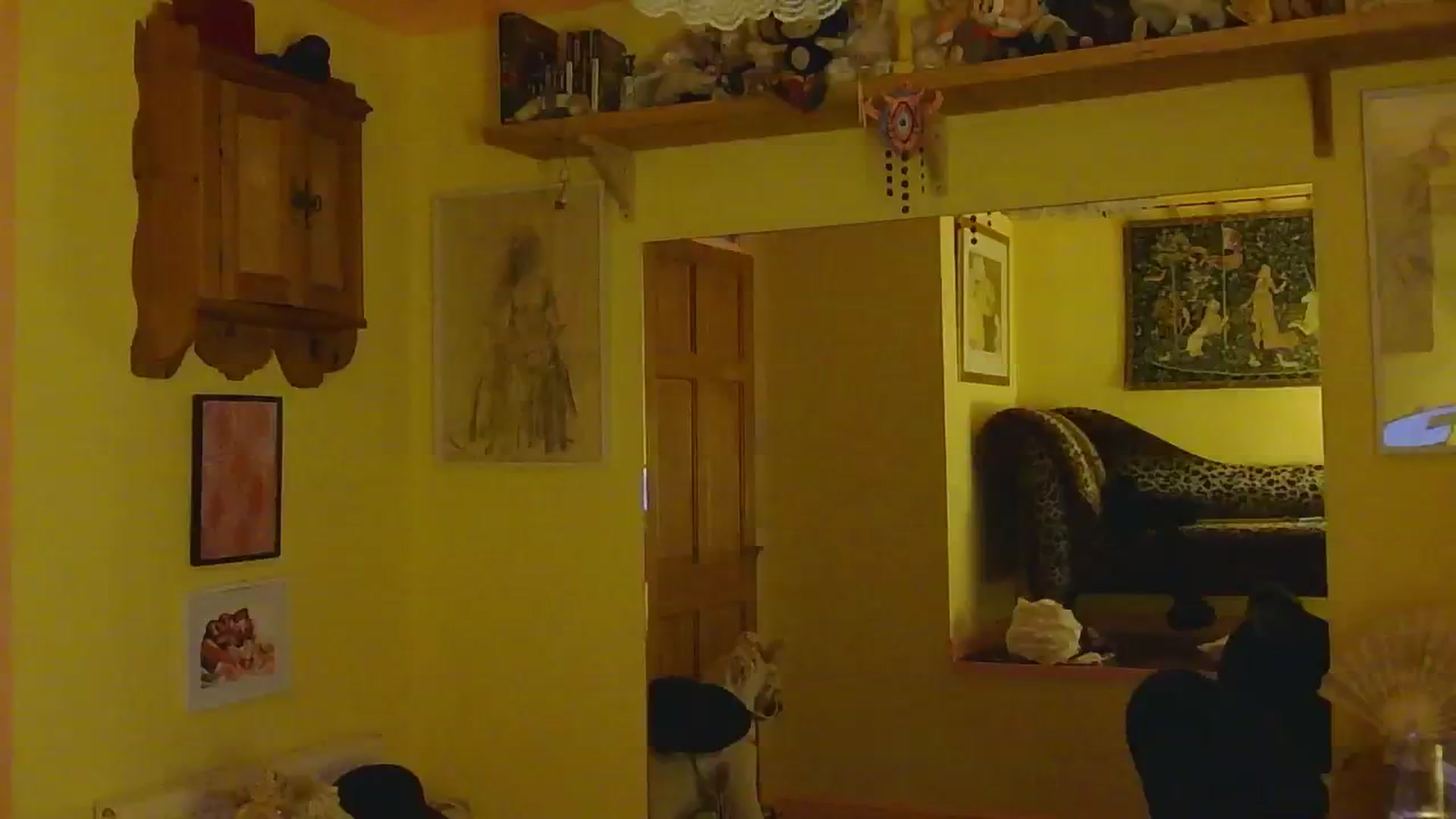 Gallery image thumbnail from sylksiren's myfreecams stream on, 03/06/2025, 17:32 image 13 of 20