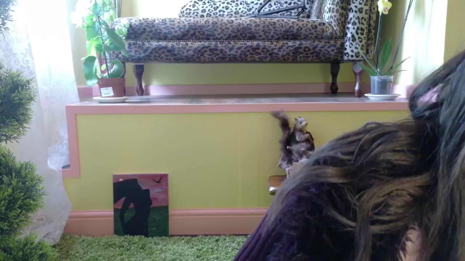 Gallery image thumbnail from sylksiren's myfreecams stream on, 05/06/2025, 15:02 image 5 of 20