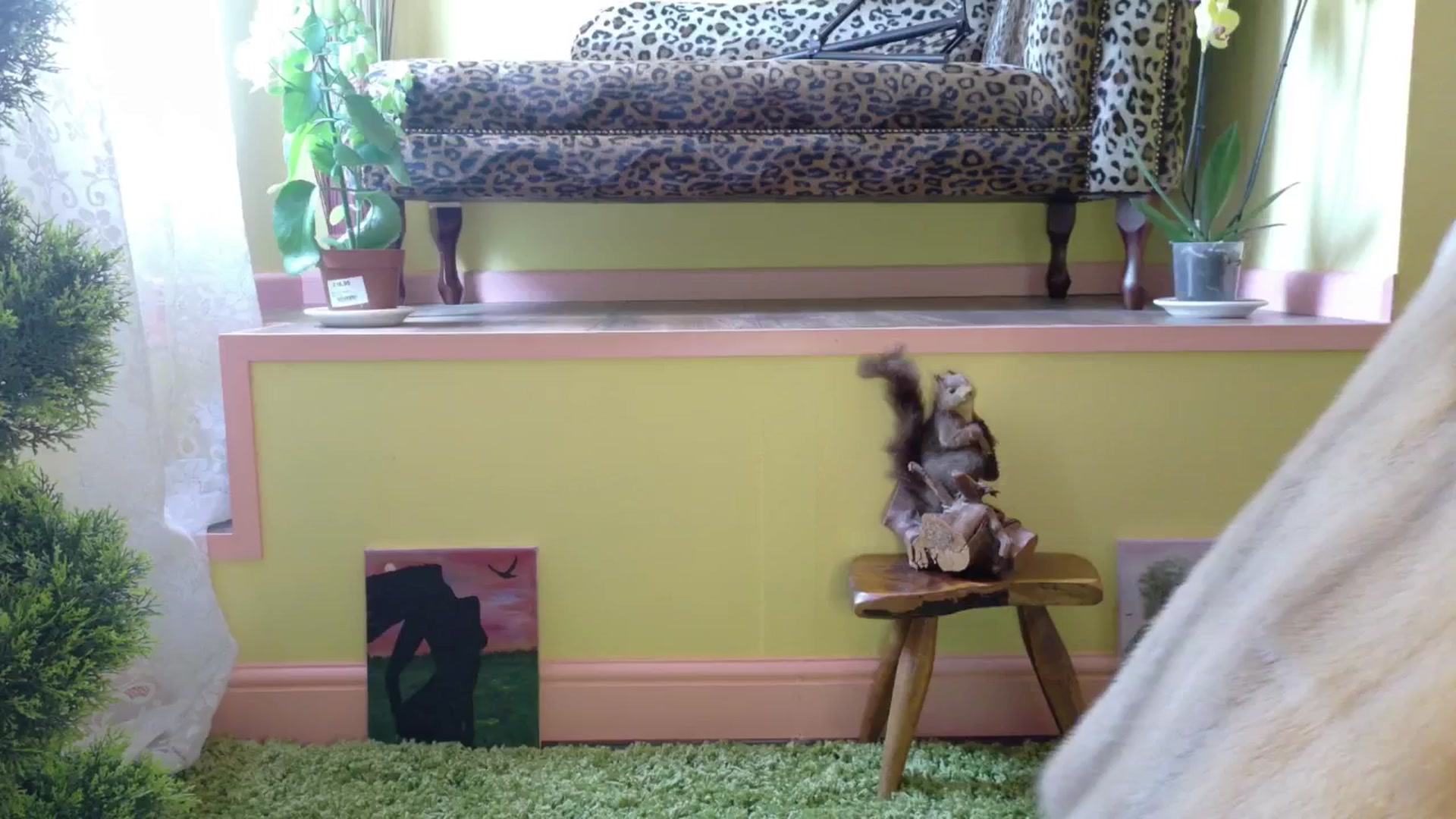 Gallery image thumbnail from sylksiren's myfreecams stream on, 05/06/2025, 15:02 image 9 of 20
