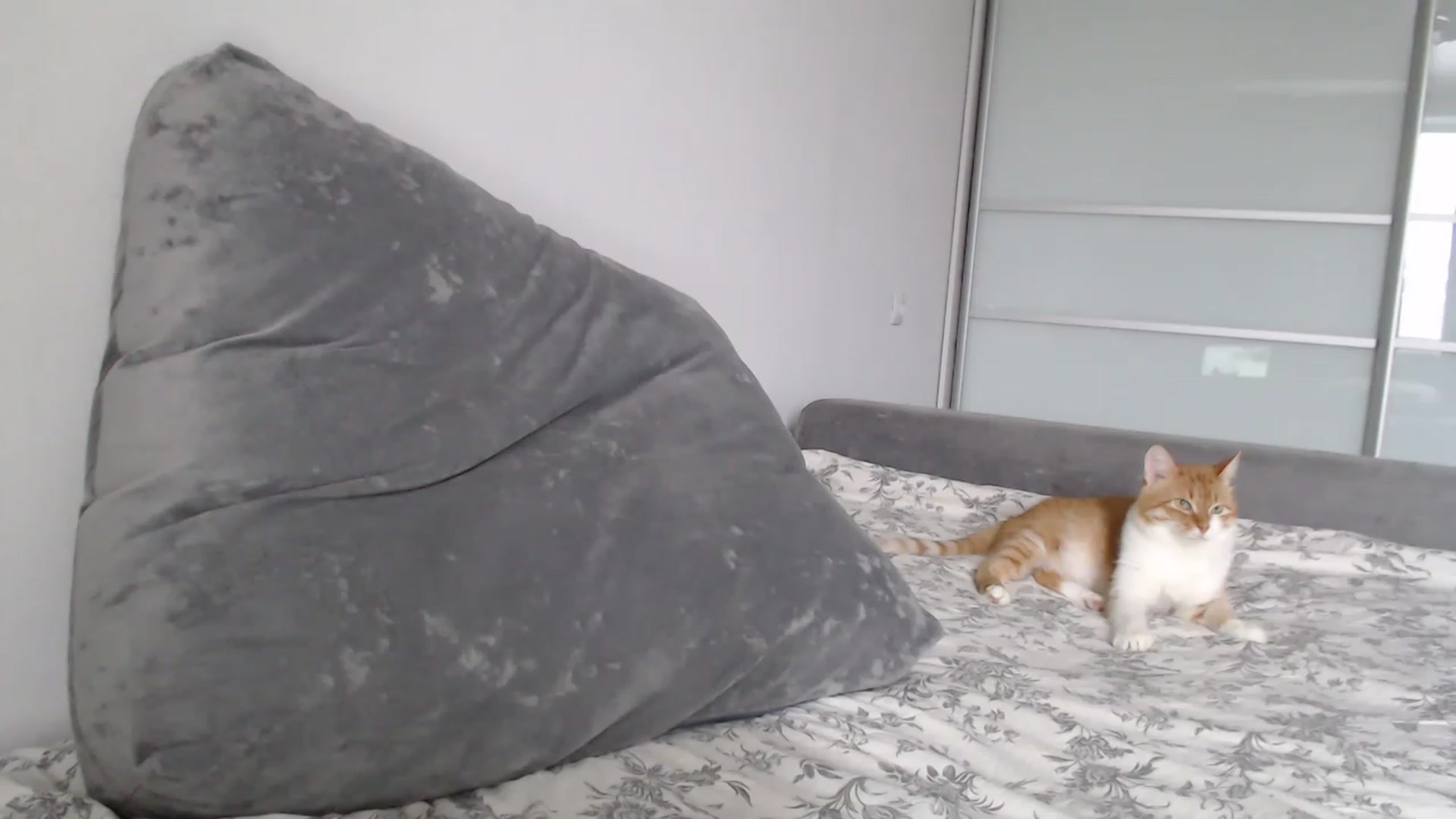 Gallery image thumbnail from tastylikecola's myfreecams stream on, 01/03/2023, 06:20 image 8 of 20
