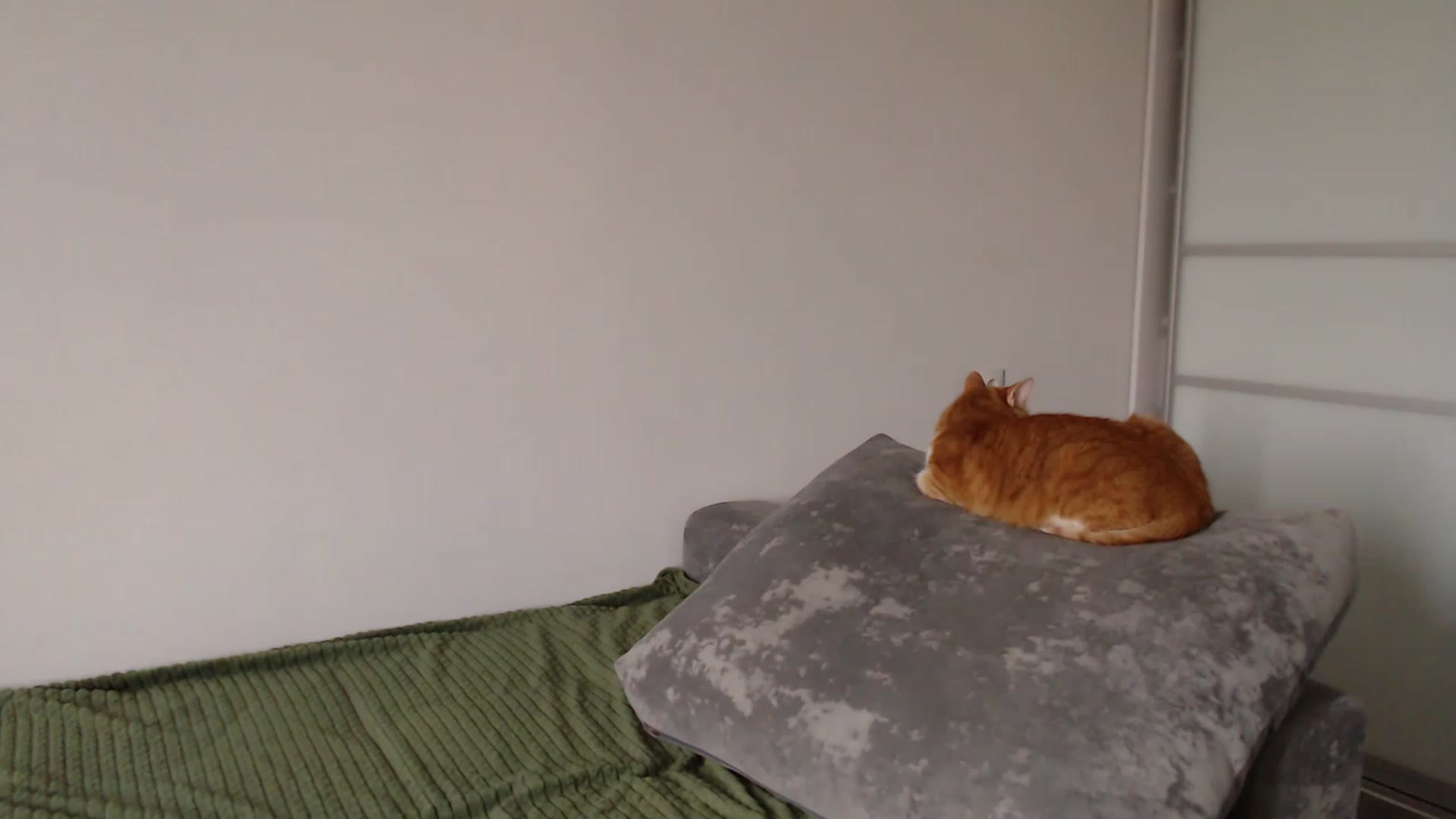 Gallery image thumbnail from tastylikecola's myfreecams stream on, 04/30/2023, 10:36 image 11 of 20