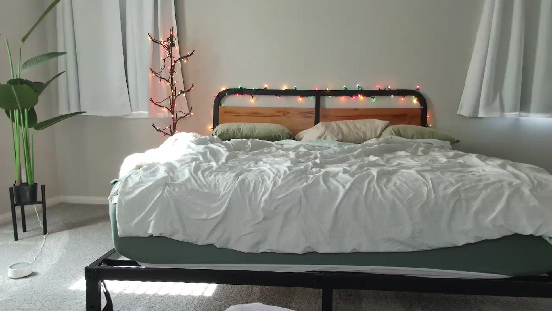 Gallery image thumbnail from tea_for_2's myfreecams stream on, 02/03/2023, 20:54 image 7 of 20