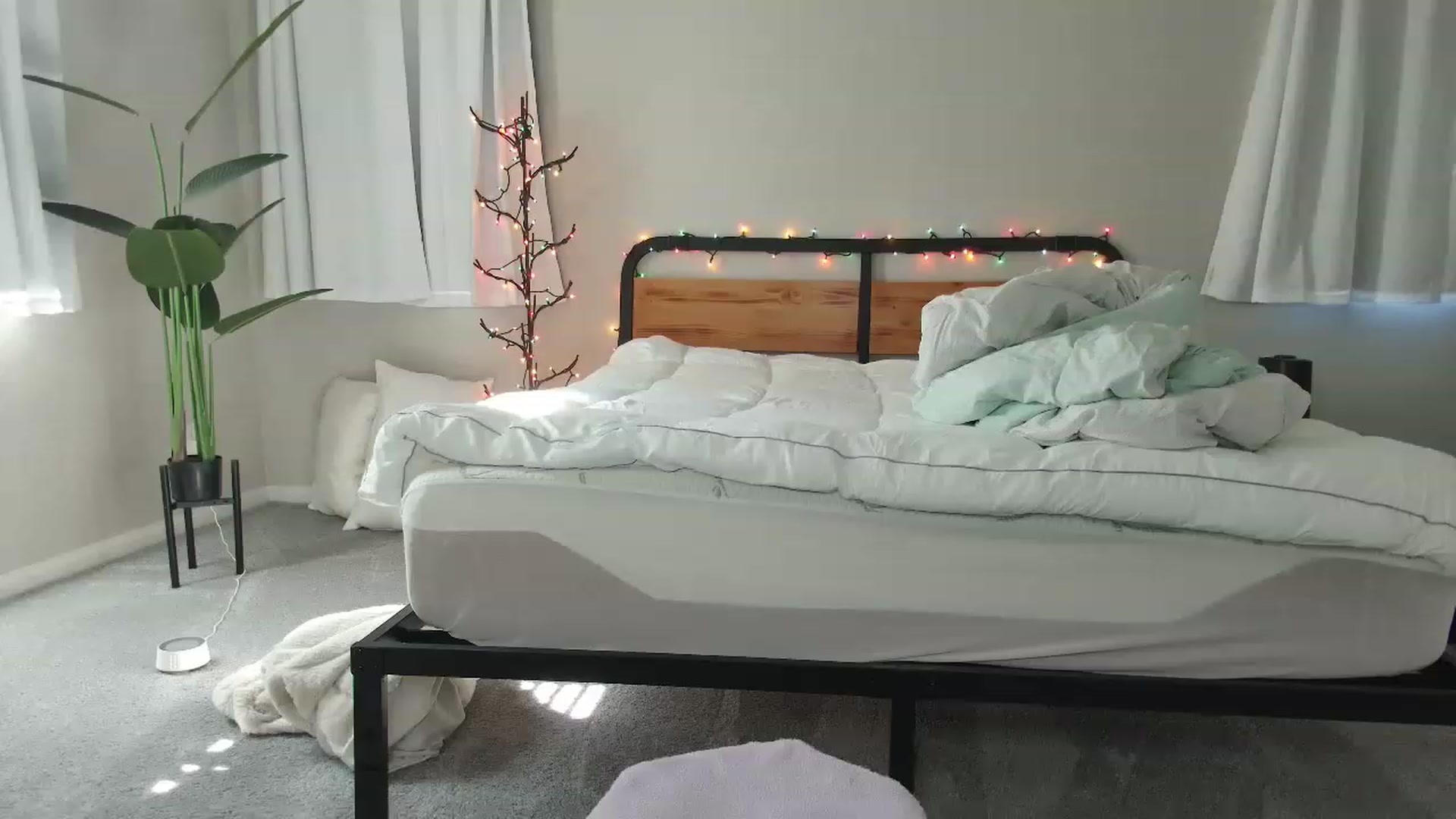 Gallery image thumbnail from tea_for_2's myfreecams stream on, 02/07/2023, 20:01 image 19 of 20
