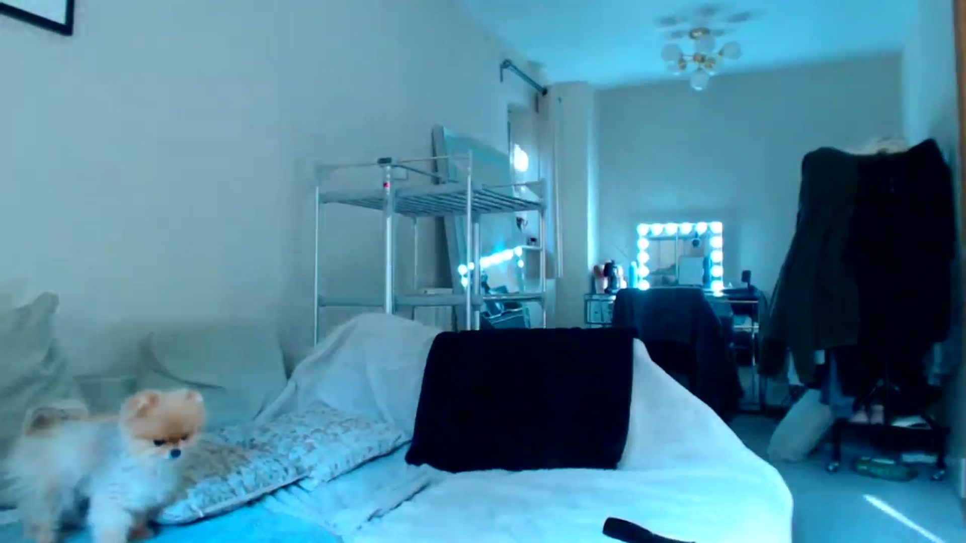 Gallery image thumbnail from teamtatt's myfreecams stream on, 09/15/2025, 16:28 image 8 of 20