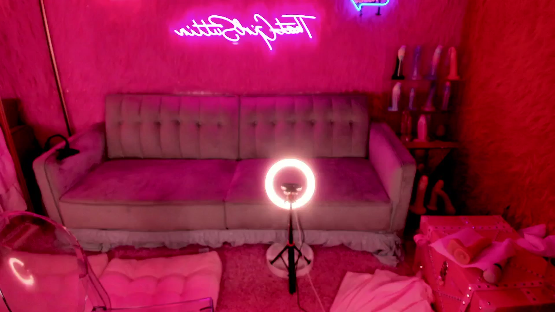 Gallery image thumbnail from thatgrlsuttin's myfreecams stream on, 06/18/2024, 06:47 image 10 of 20
