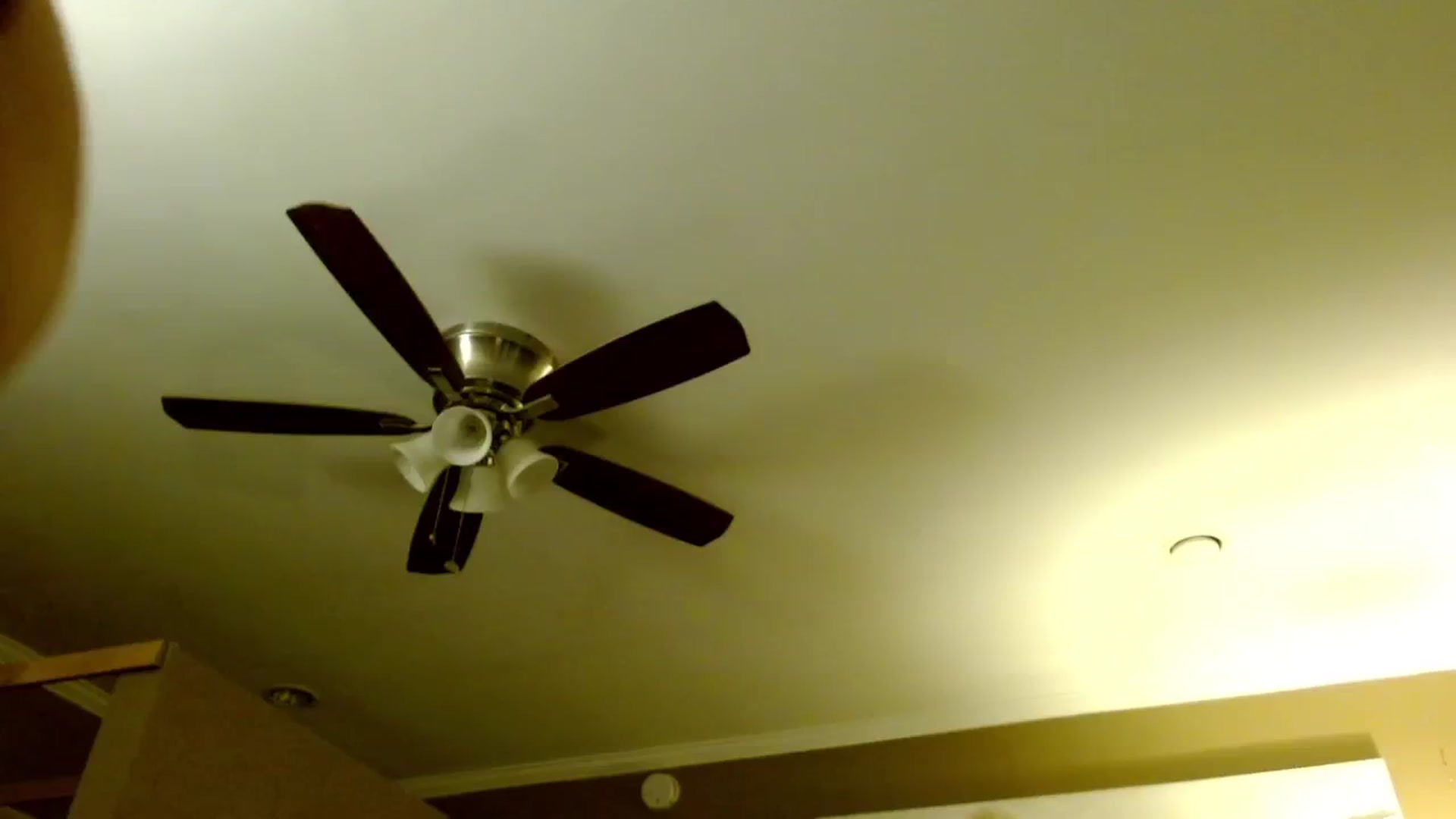 Gallery image thumbnail from theLoveGuru's myfreecams stream on, 11/24/2024, 07:33 image 17 of 20