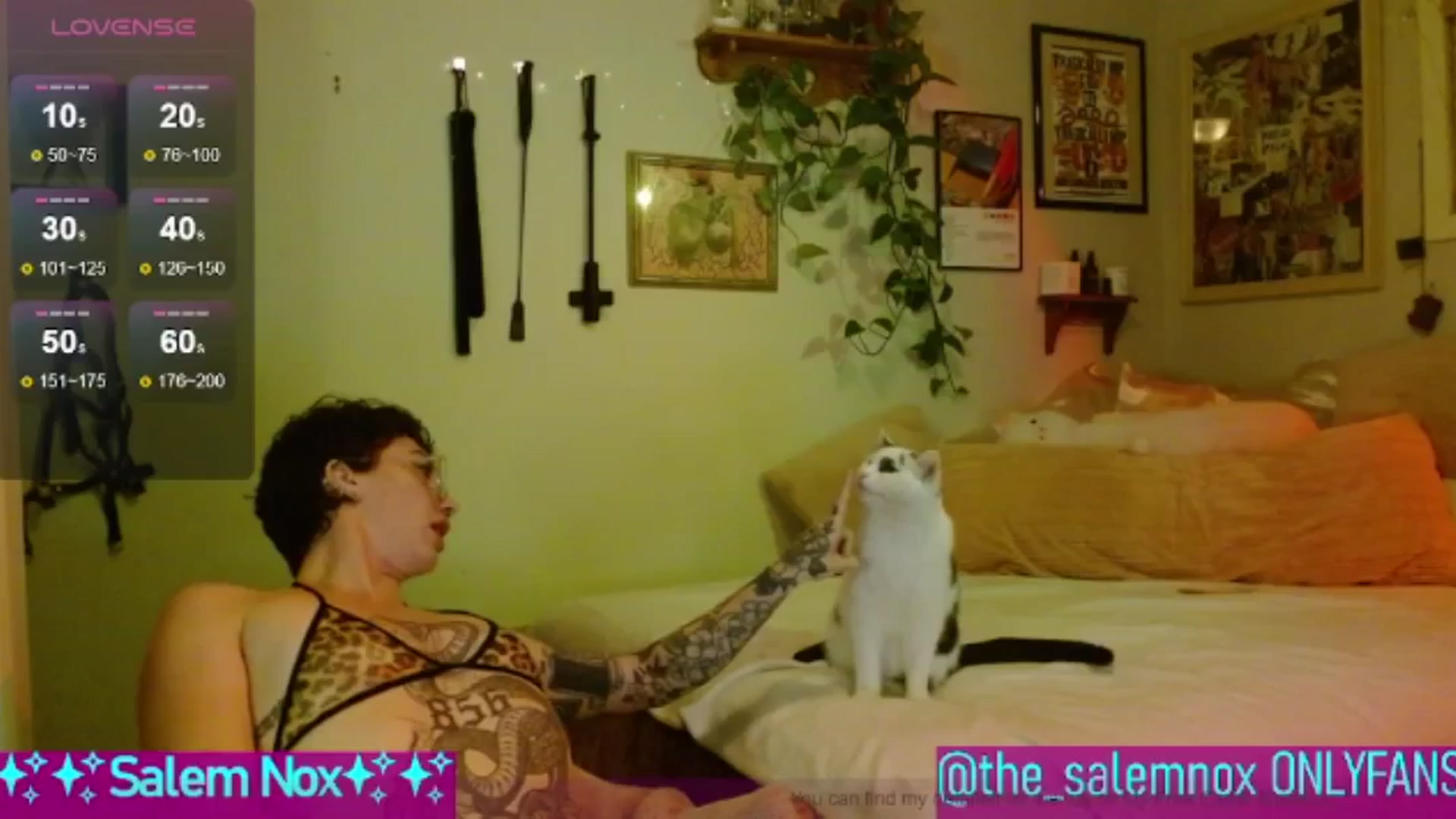 Gallery image thumbnail from the_salemnox's myfreecams stream on, 05/31/2024, 12:09 image 11 of 20