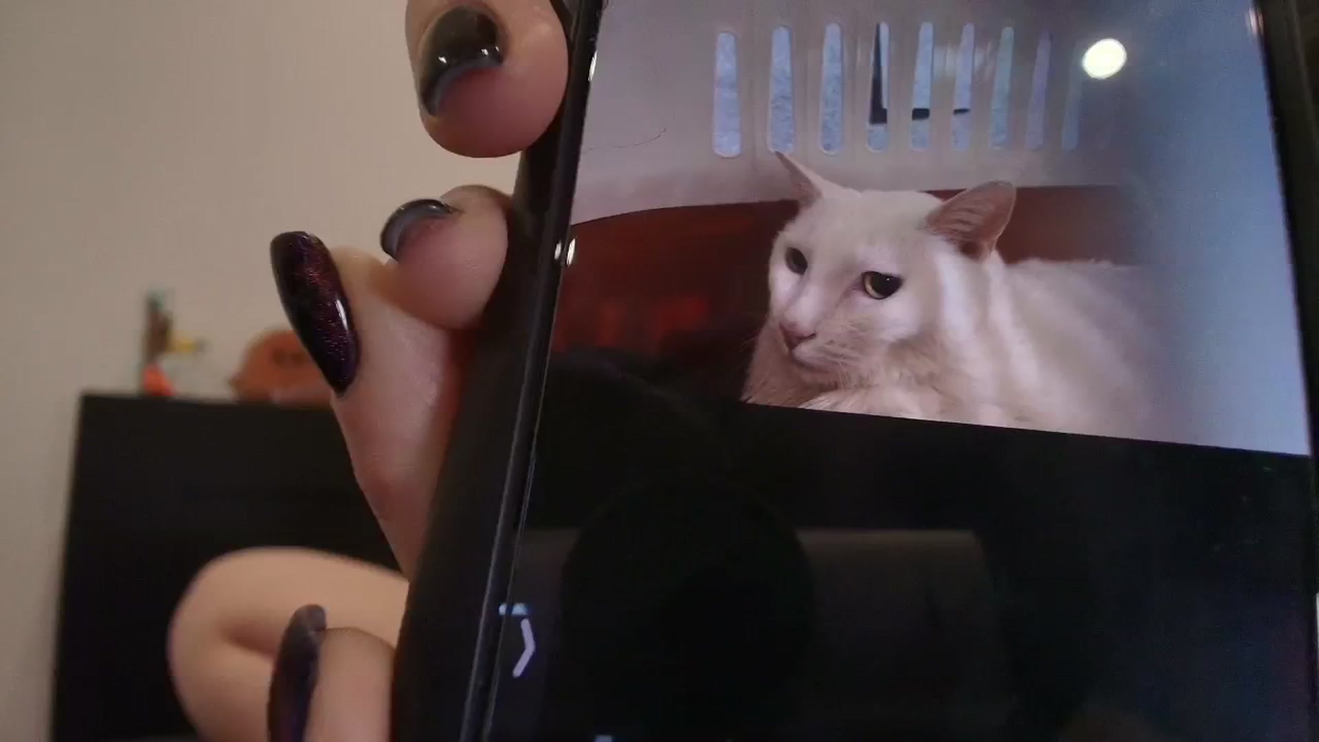 Gallery image thumbnail from theroom's myfreecams stream on, 02/26/2026, 02:00 image 7 of 20