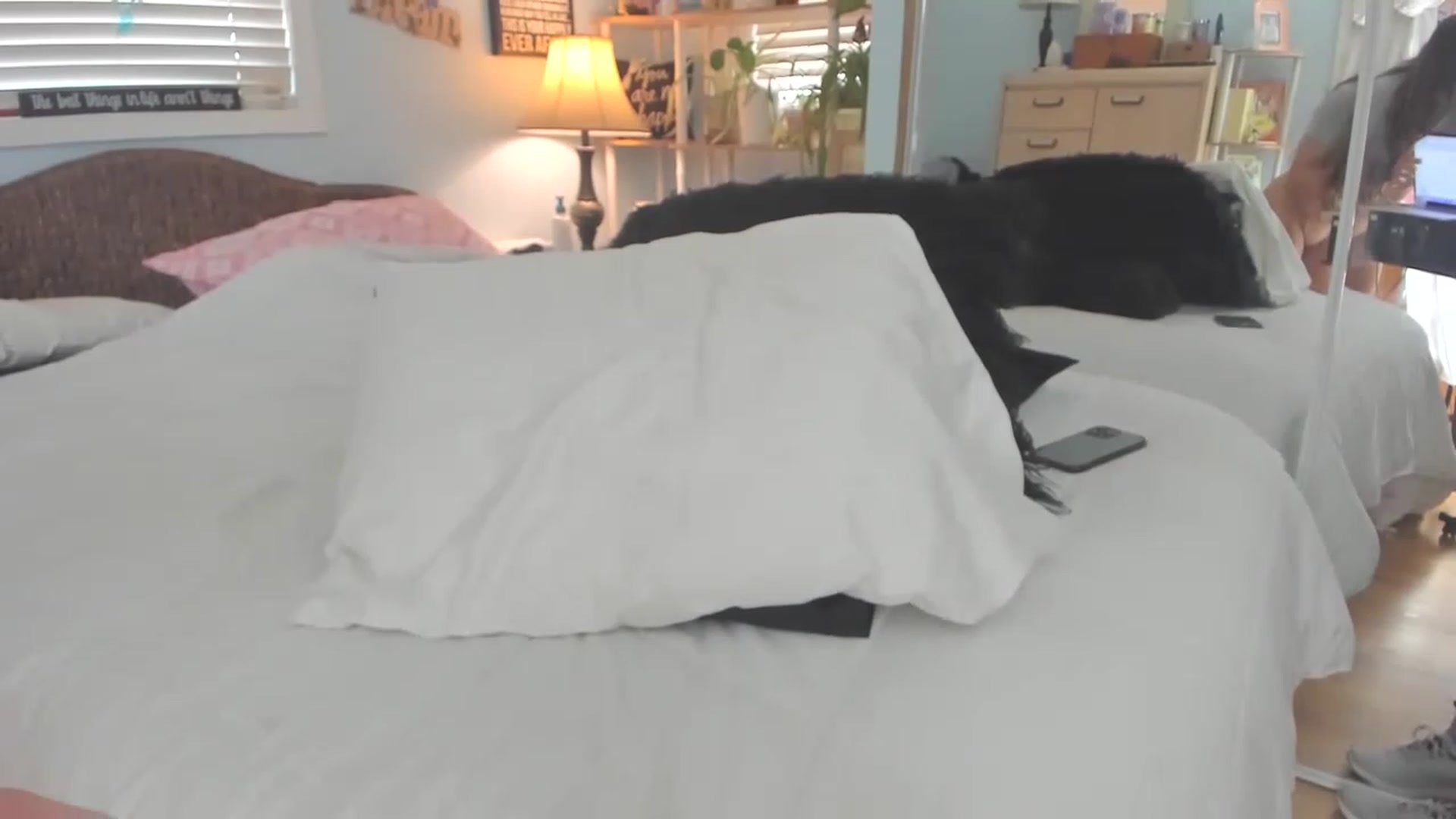 Gallery image thumbnail from thewolfof_MFC's myfreecams stream on, 04/12/2023, 16:44 image 4 of 20