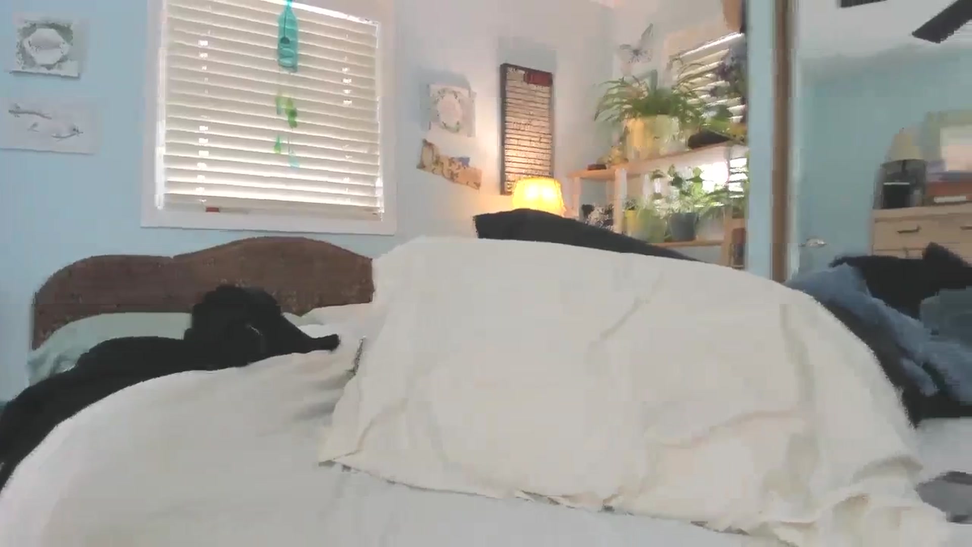 Gallery image thumbnail from thewolfof_MFC's myfreecams stream on, 01/10/2024, 17:17 image 18 of 20