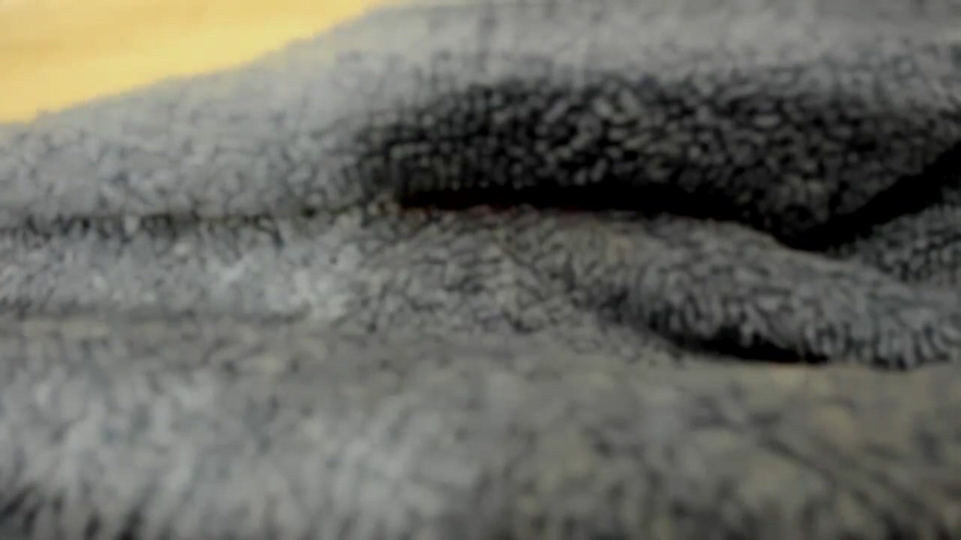 Gallery image thumbnail from thewolfof_MFC's myfreecams stream on, 07/07/2024, 15:30 image 14 of 20