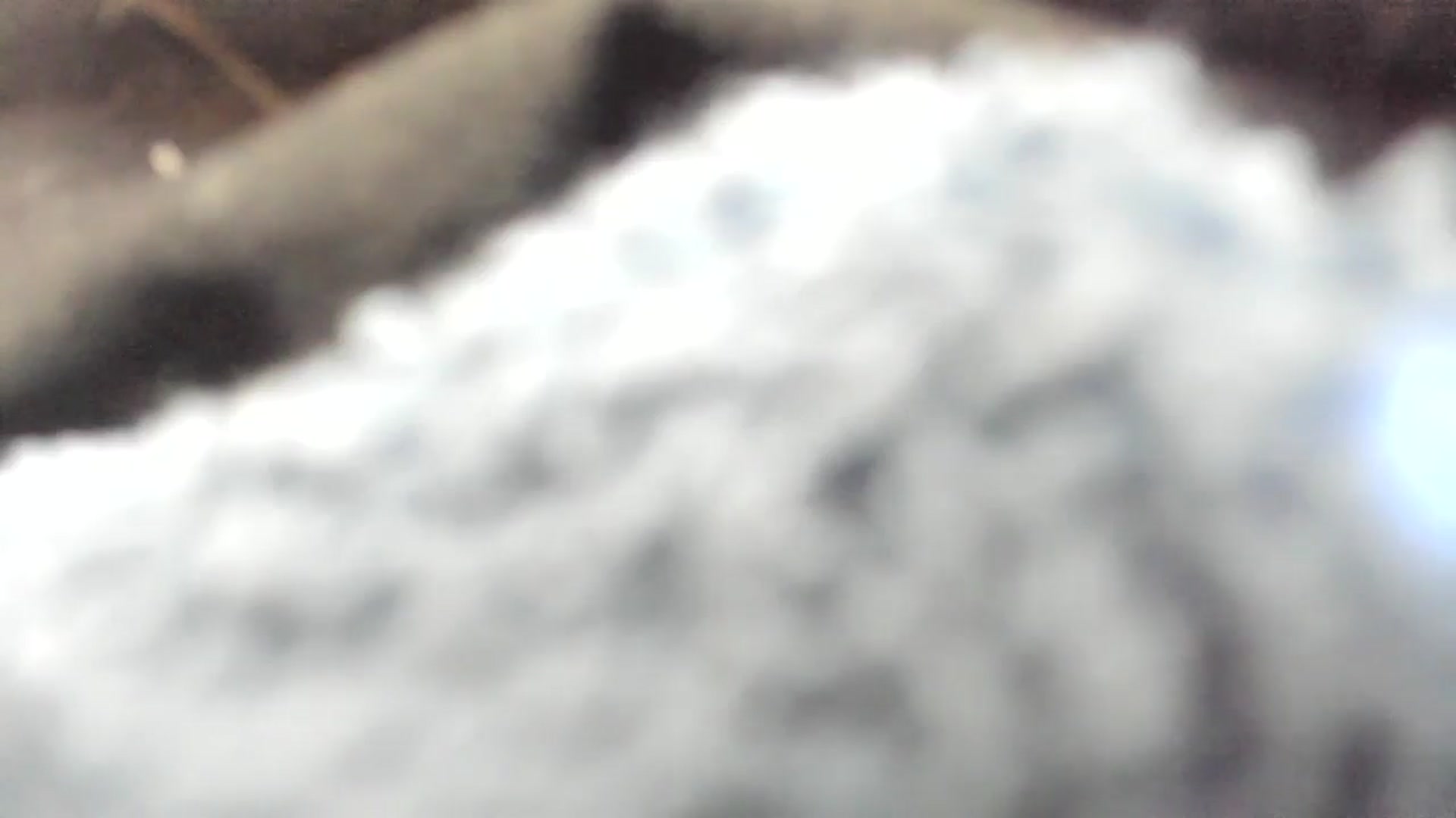 Gallery image thumbnail from thewolfof_MFC's myfreecams stream on, 12/08/2024, 17:42 image 15 of 20