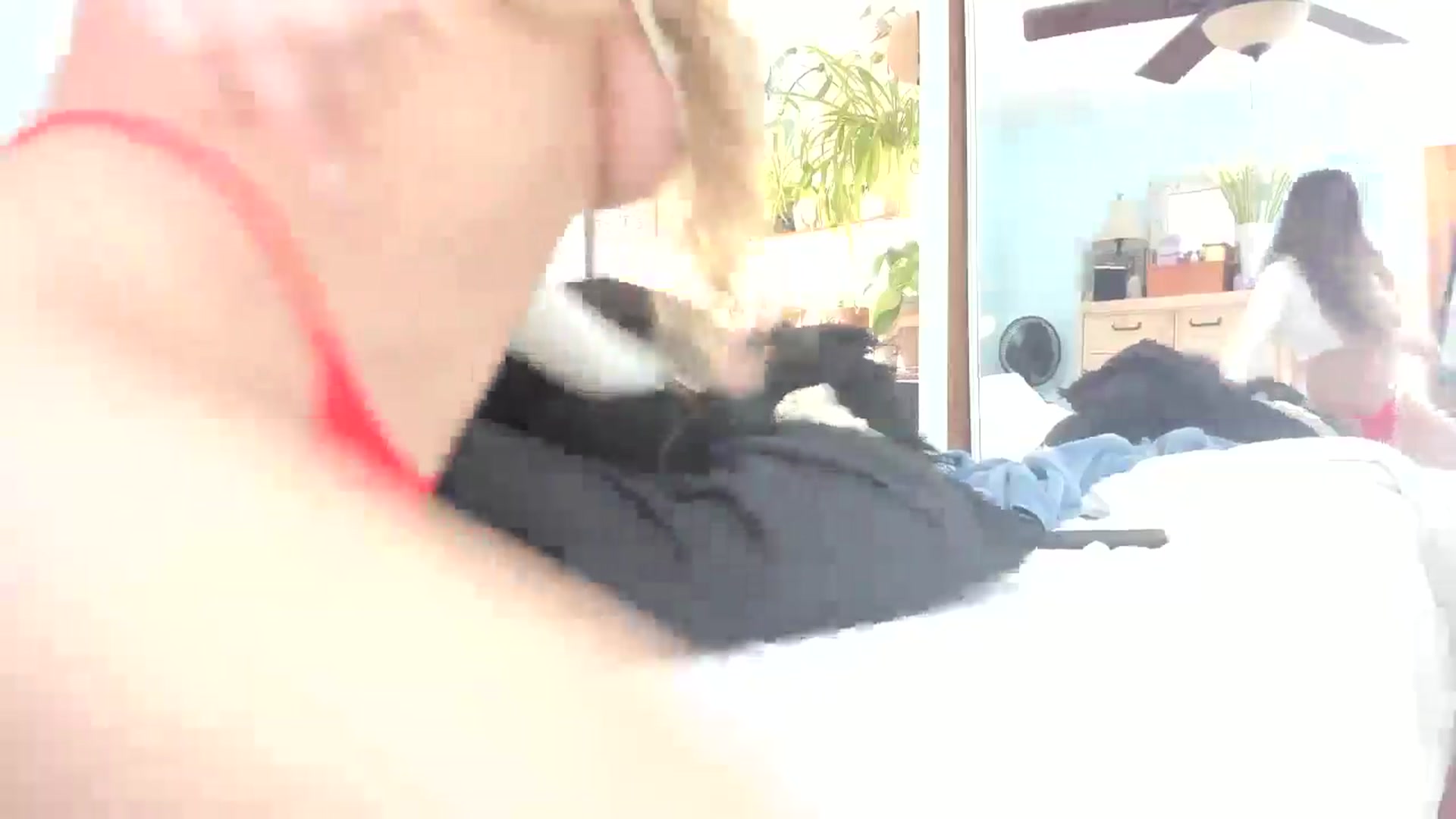 Gallery image thumbnail from thewolfof_MFC's myfreecams stream on, 01/13/2025, 21:33 image 6 of 20