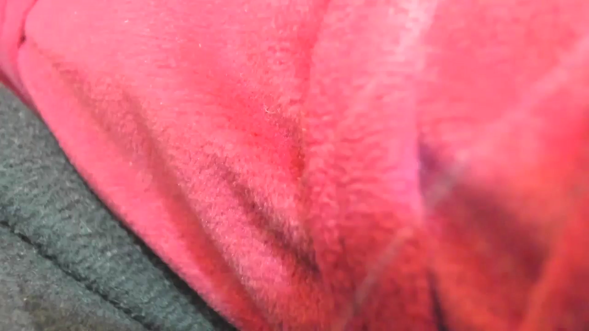 Gallery image thumbnail from thewolfof_MFC's myfreecams stream on, 06/15/2025, 15:40 image 7 of 20