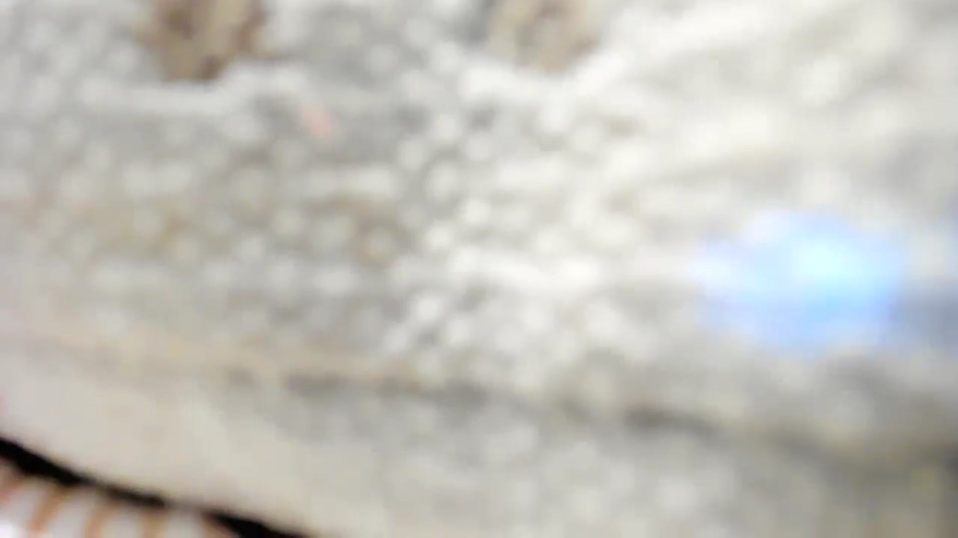 Gallery image thumbnail from thewolfof_MFC's myfreecams stream on, 08/26/2025, 20:49 image 20 of 20