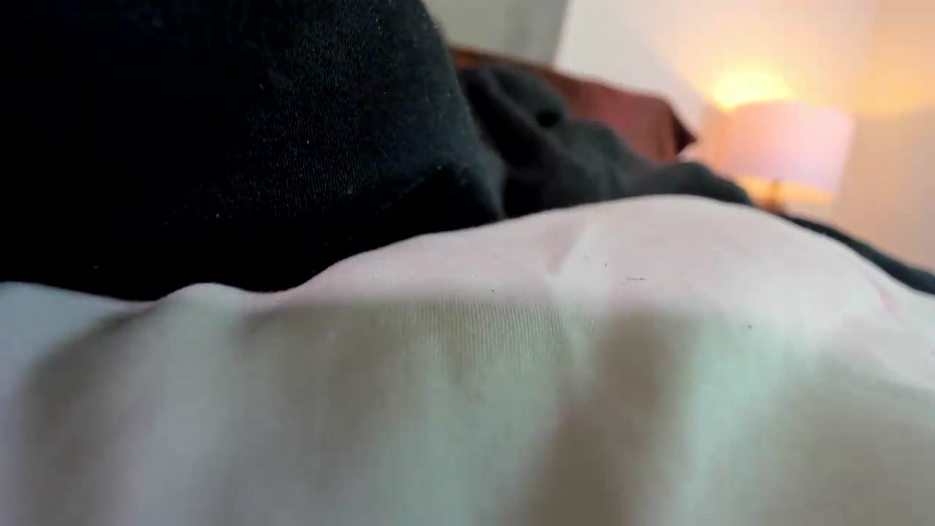 Gallery image thumbnail from thewolfof_MFC's myfreecams stream on, 08/31/2026, 16:45 image 13 of 20