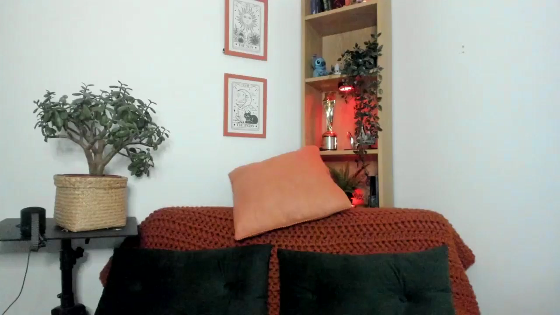 Gallery image thumbnail from thisisjessdx's myfreecams stream on, 03/08/2025, 22:28 image 12 of 20