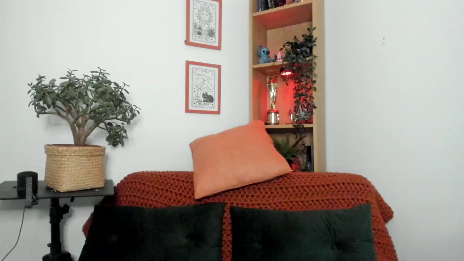 Gallery image thumbnail from thisisjessdx's myfreecams stream on, 03/08/2025, 22:28 image 13 of 20