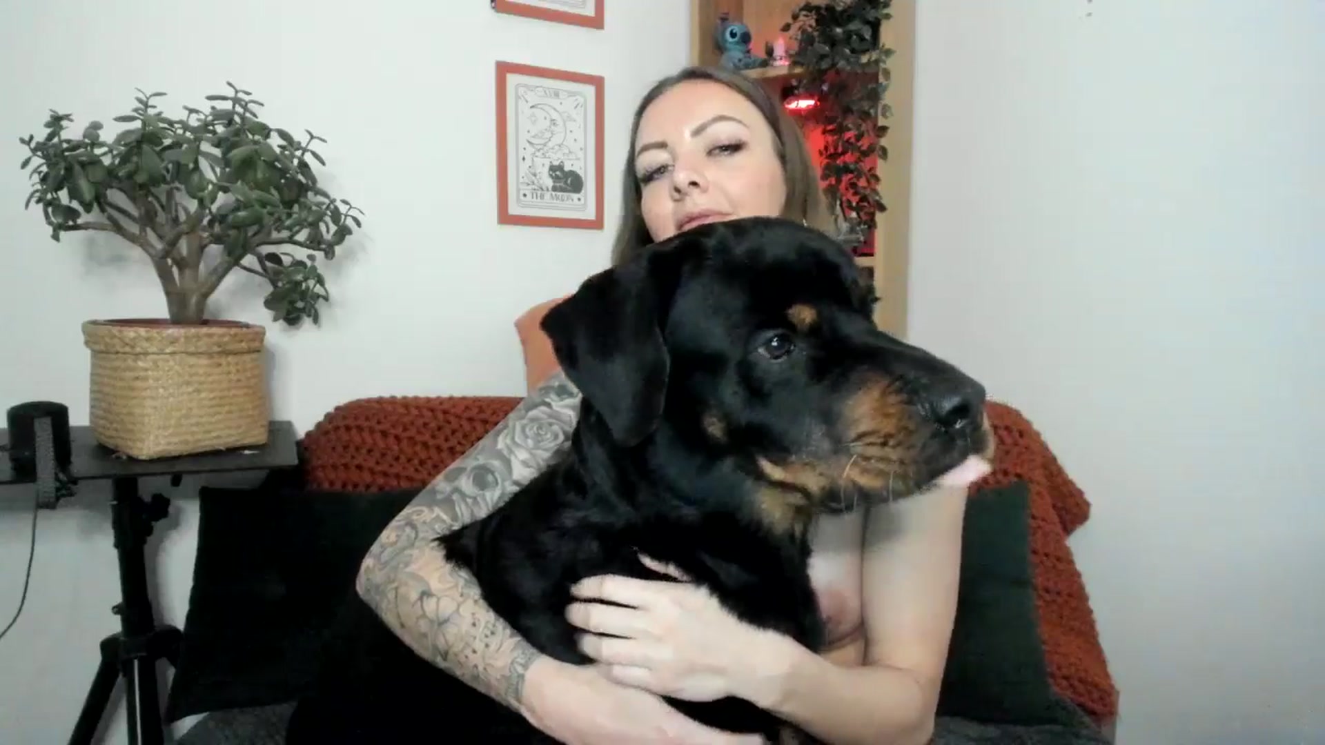 Gallery image thumbnail from thisisjessdx's myfreecams stream on, 03/08/2025, 22:28 image 19 of 20