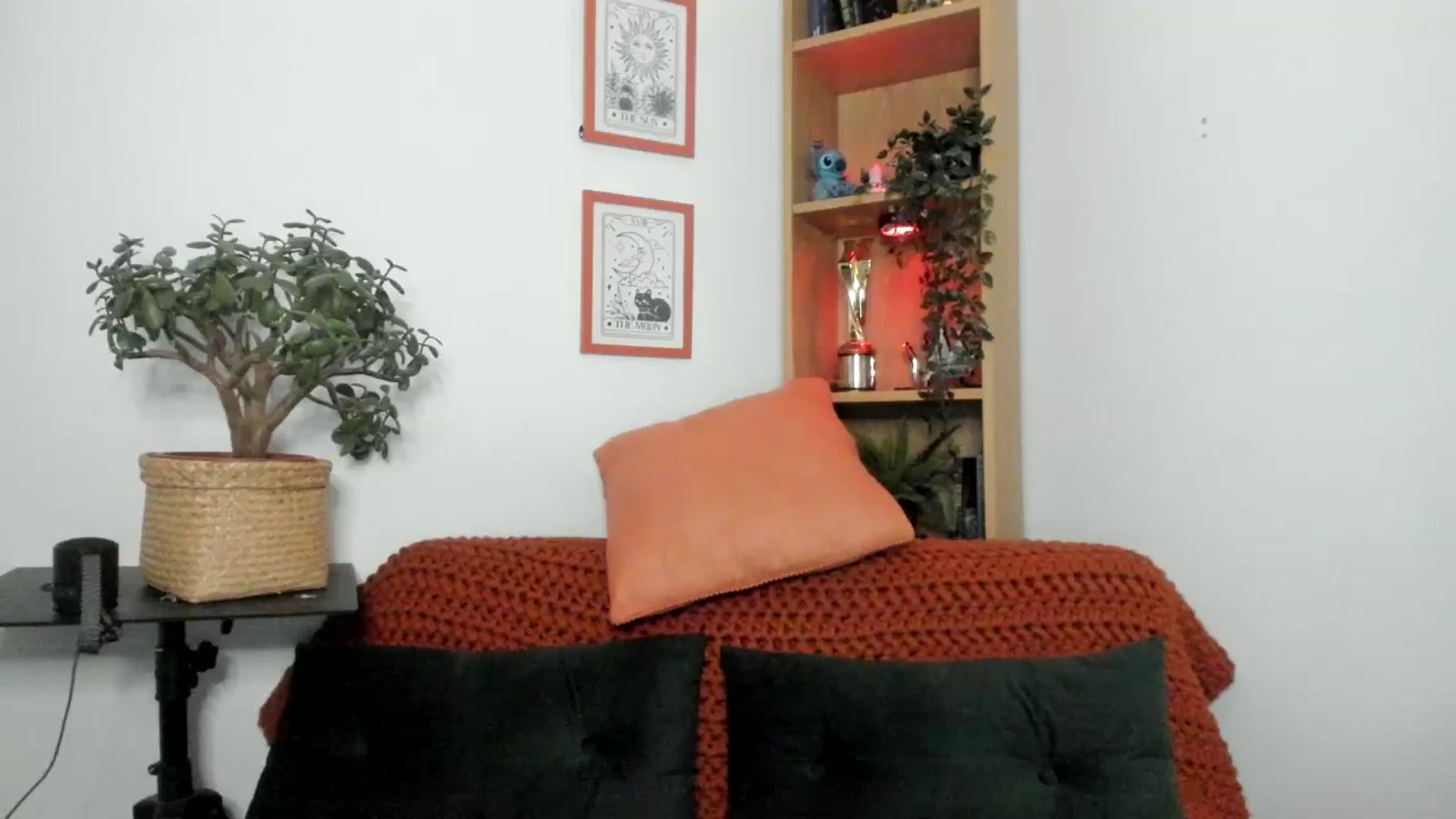 Gallery image thumbnail from thisisjessdx's myfreecams stream on, 03/08/2025, 22:28 image 14 of 20