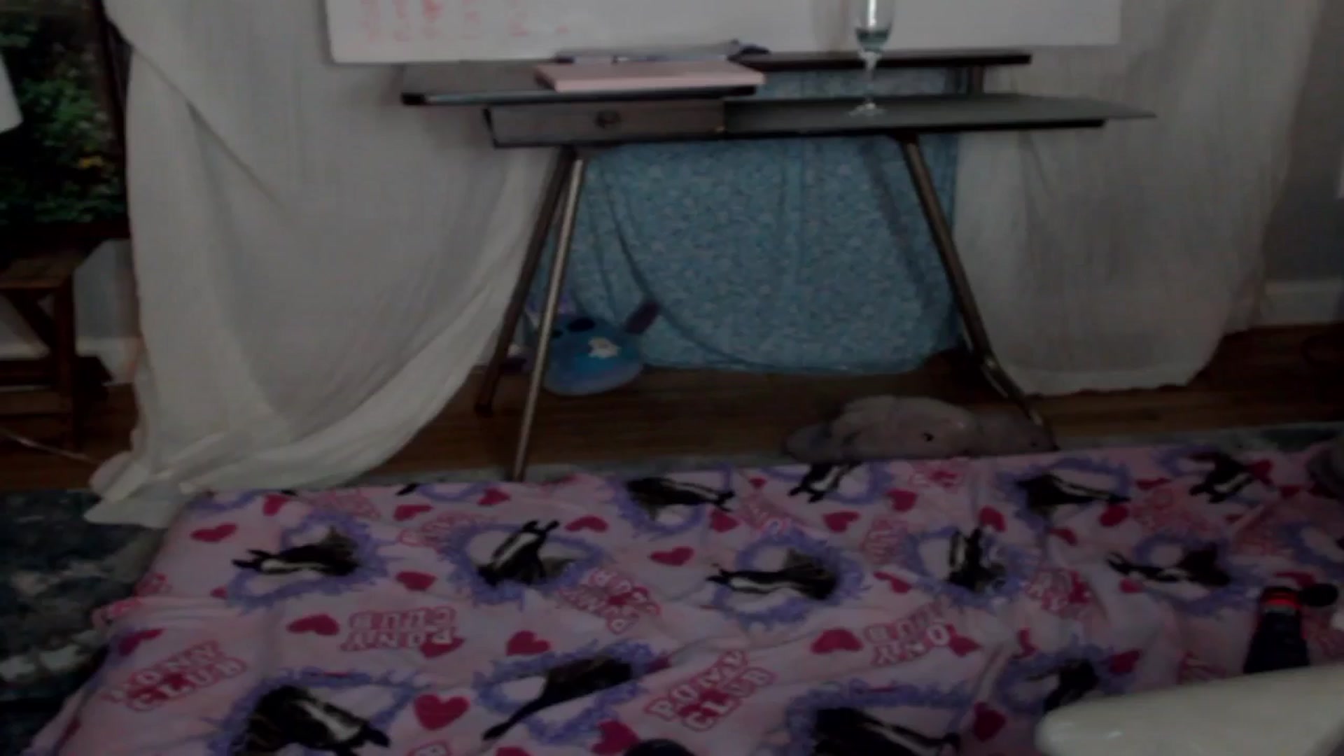 Gallery image thumbnail from thotfuldotter's myfreecams stream on, 02/06/2025, 04:49 image 8 of 20