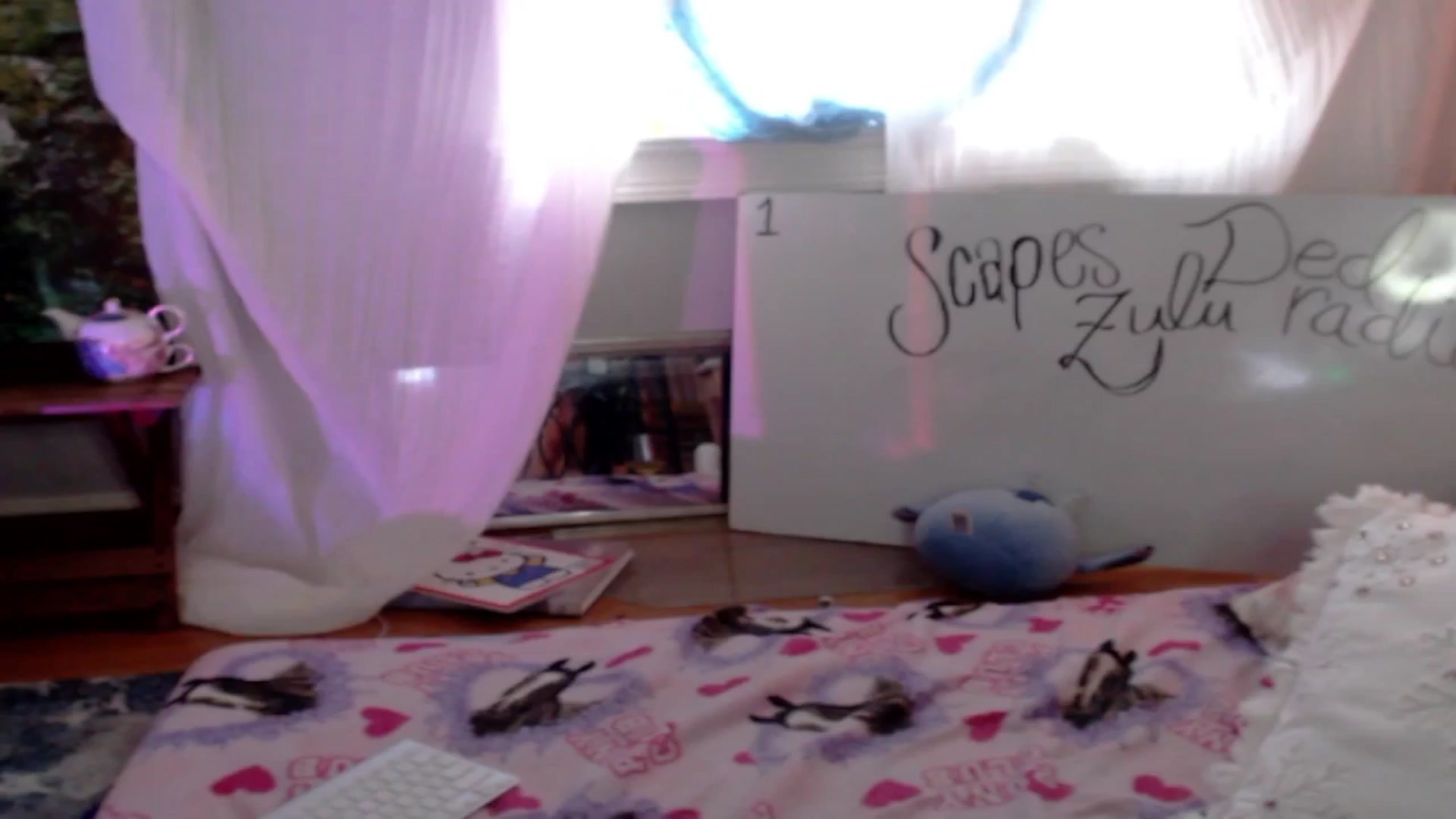 Gallery image thumbnail from thotfuldotter's myfreecams stream on, 02/11/2025, 20:21 image 12 of 20