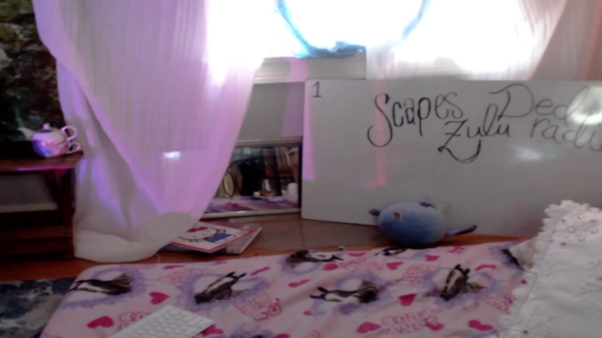 Gallery image thumbnail from thotfuldotter's myfreecams stream on, 02/11/2025, 20:21 image 11 of 20