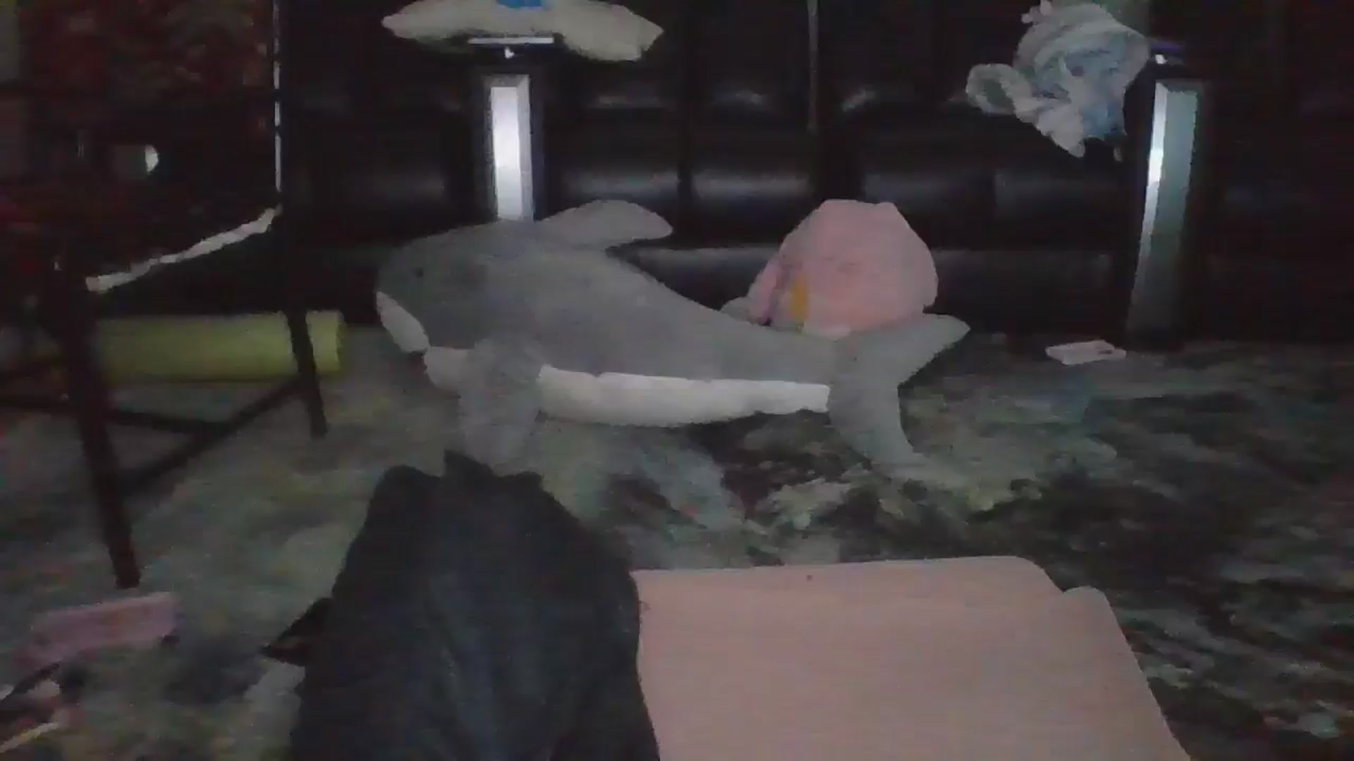 Gallery image thumbnail from thotfuldotter's myfreecams stream on, 04/15/2025, 04:29 image 12 of 20