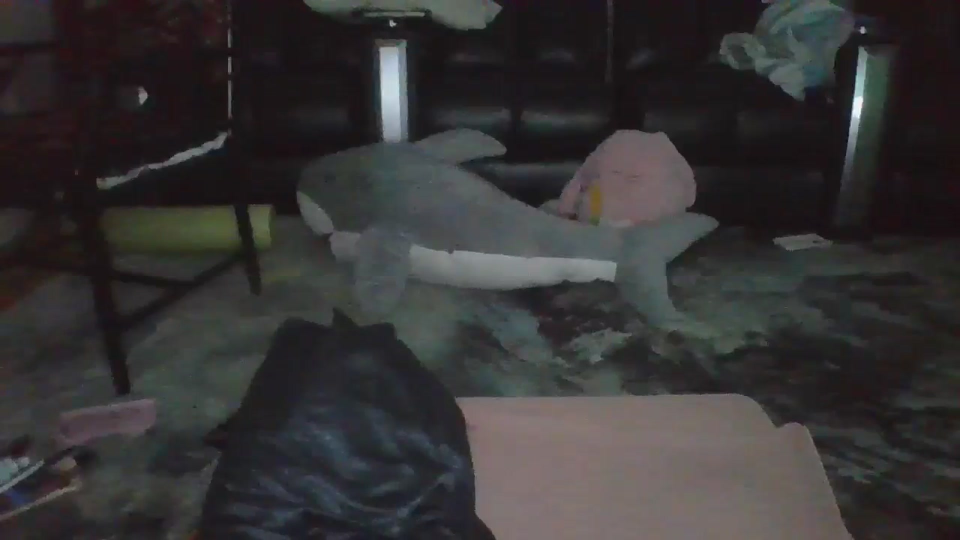 Gallery image thumbnail from thotfuldotter's myfreecams stream on, 04/15/2025, 04:29 image 17 of 20
