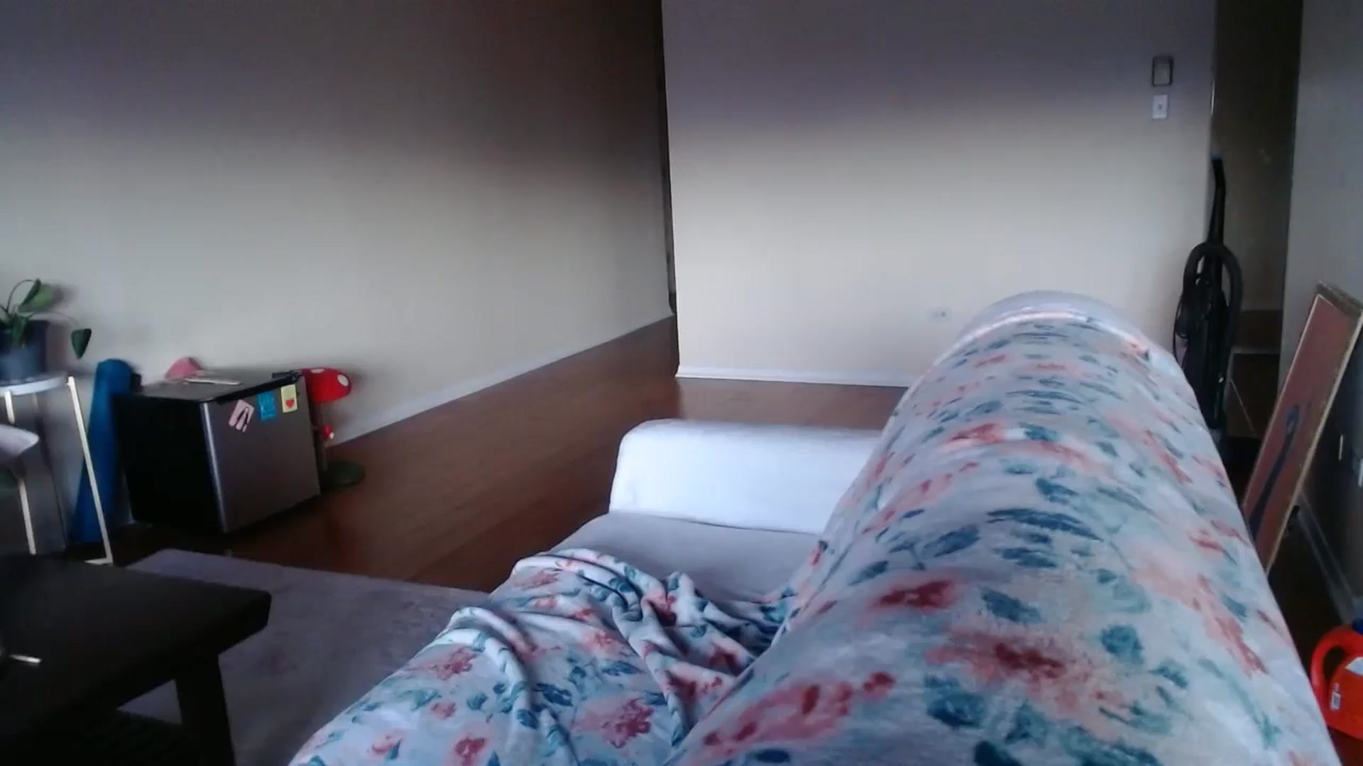Gallery image thumbnail from thtoneblonde's myfreecams stream on, 01/20/2025, 24:12 image 19 of 20