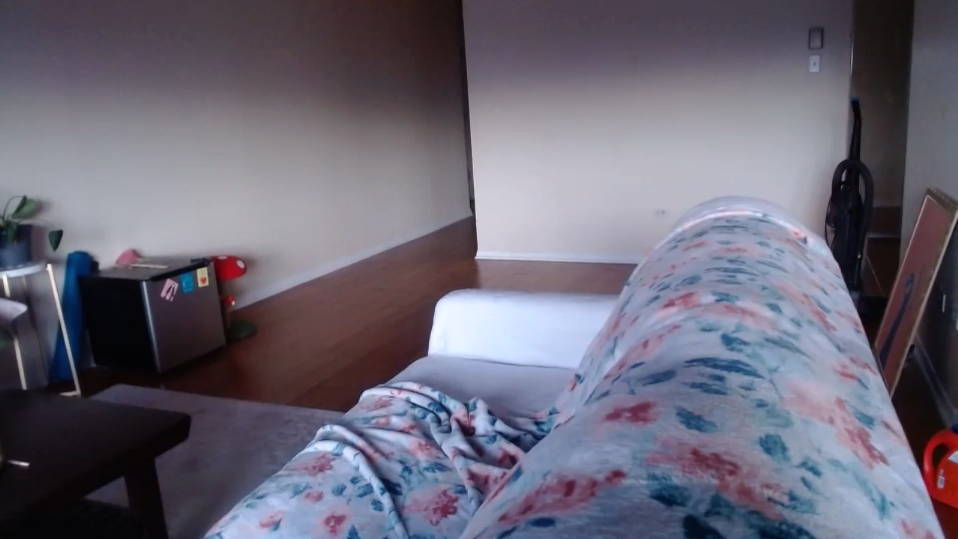 Gallery image thumbnail from thtoneblonde's myfreecams stream on, 01/20/2025, 24:12 image 17 of 20