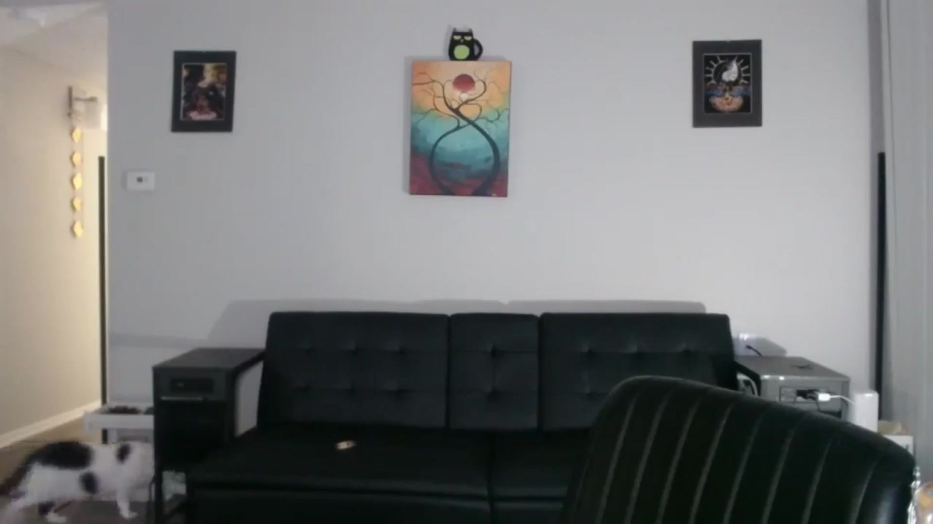 Gallery image thumbnail from thtoneblonde's myfreecams stream on, 11/29/2025, 11:51 image 17 of 20