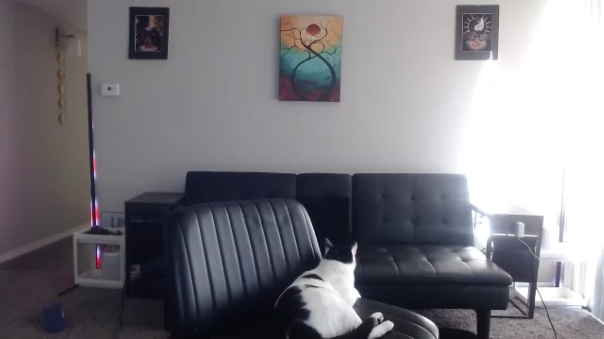 Gallery image thumbnail from thtoneblonde's myfreecams stream on, 12/22/2025, 15:54 image 11 of 20
